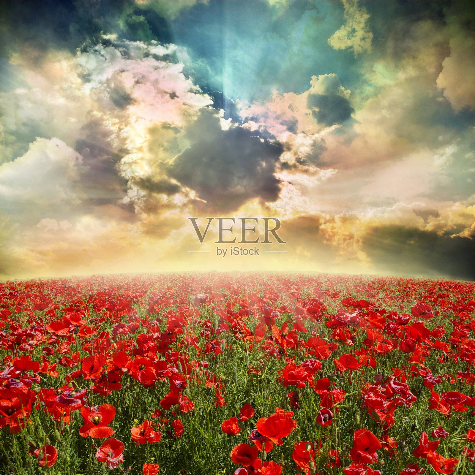 景观照片摄影图片