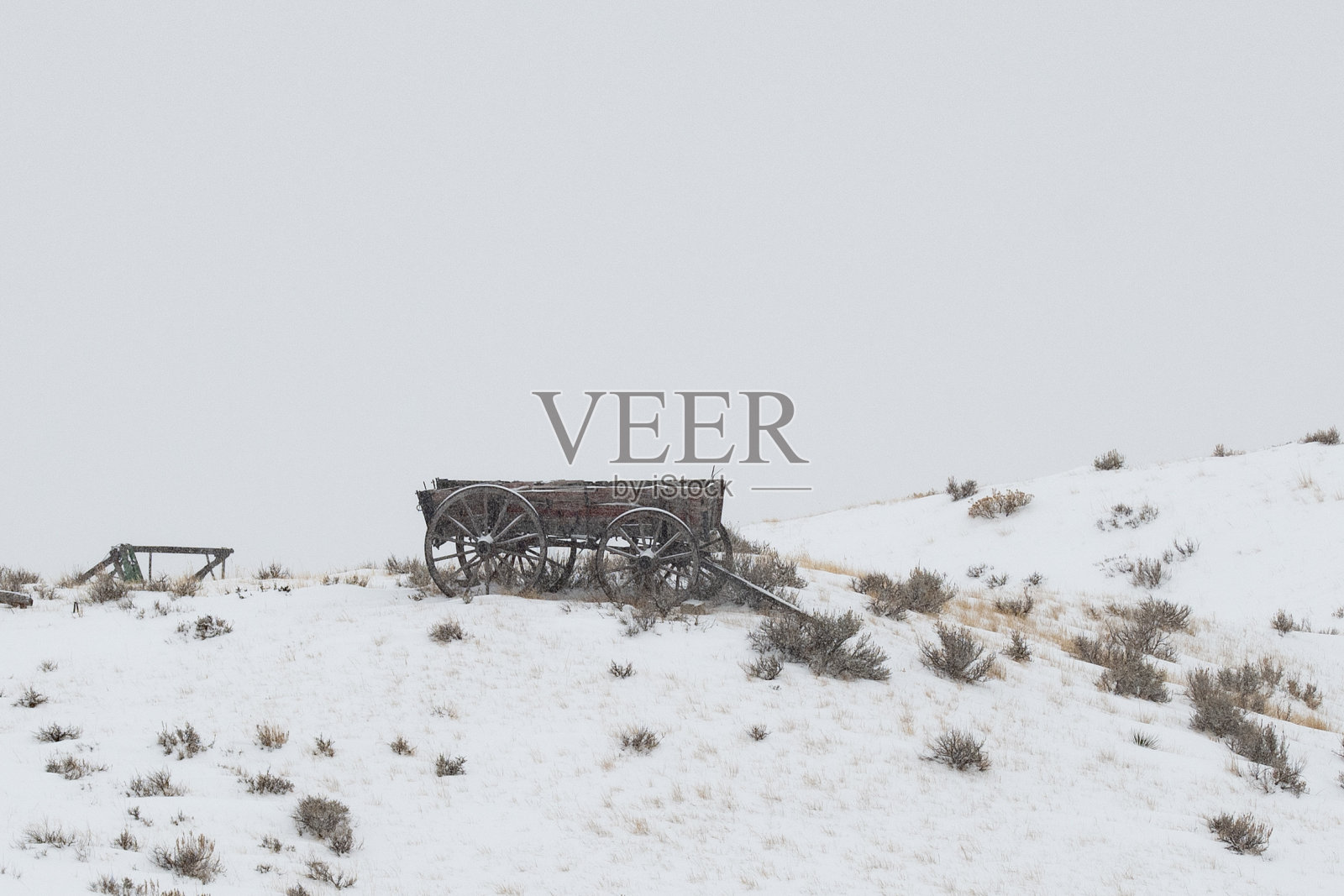 雪原上古老的马车照片摄影图片