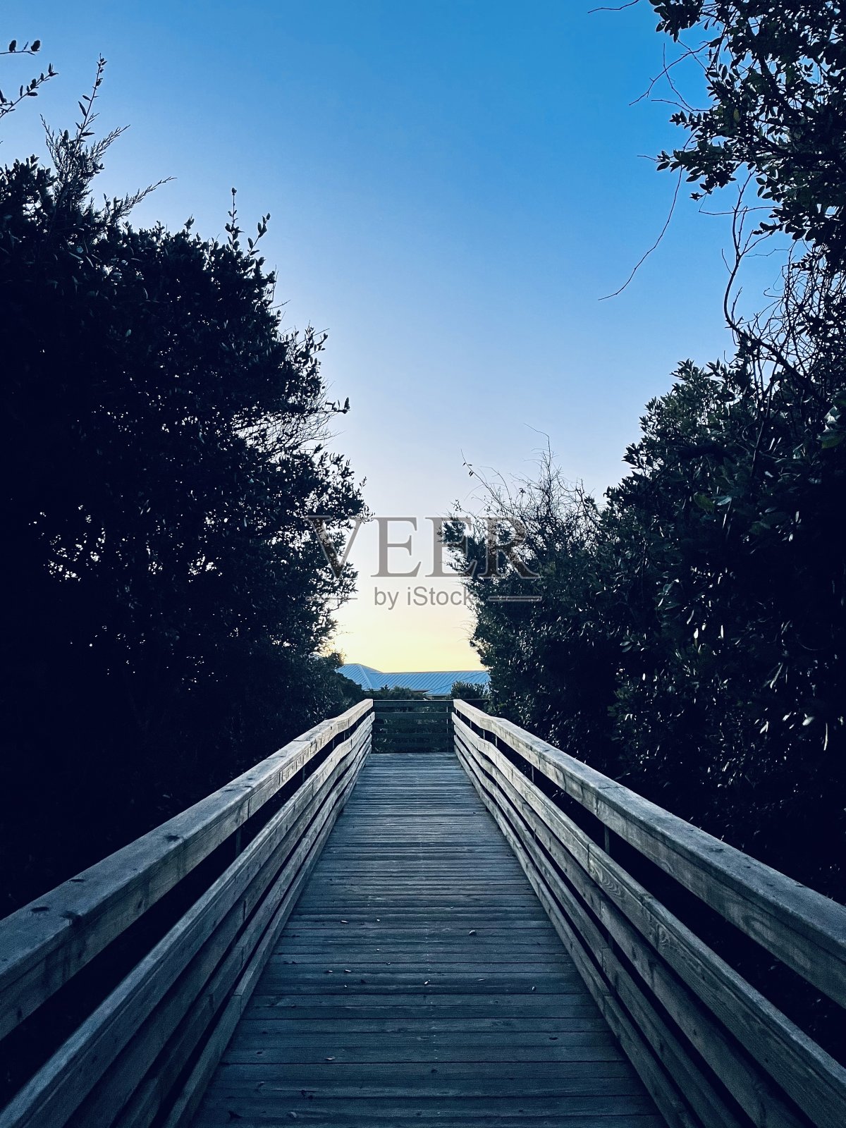 海滩上的日出照片摄影图片