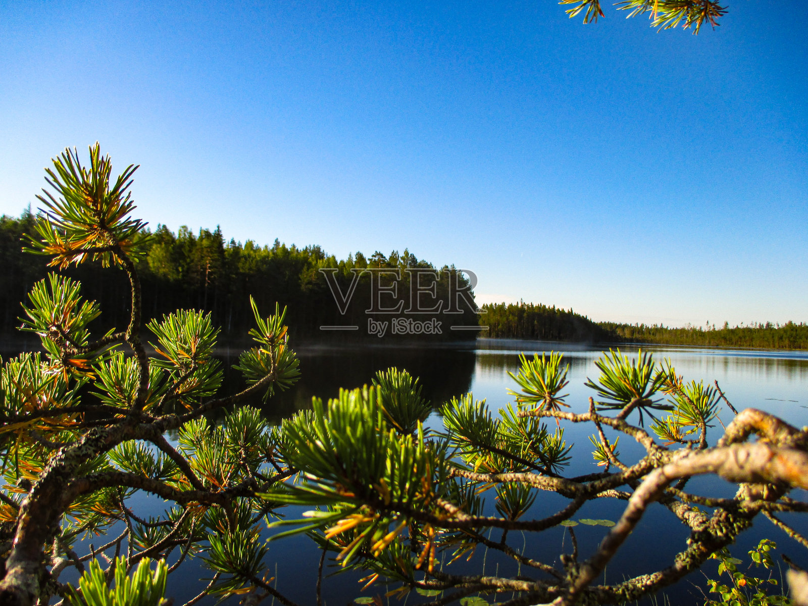 卡累利阿松照片摄影图片