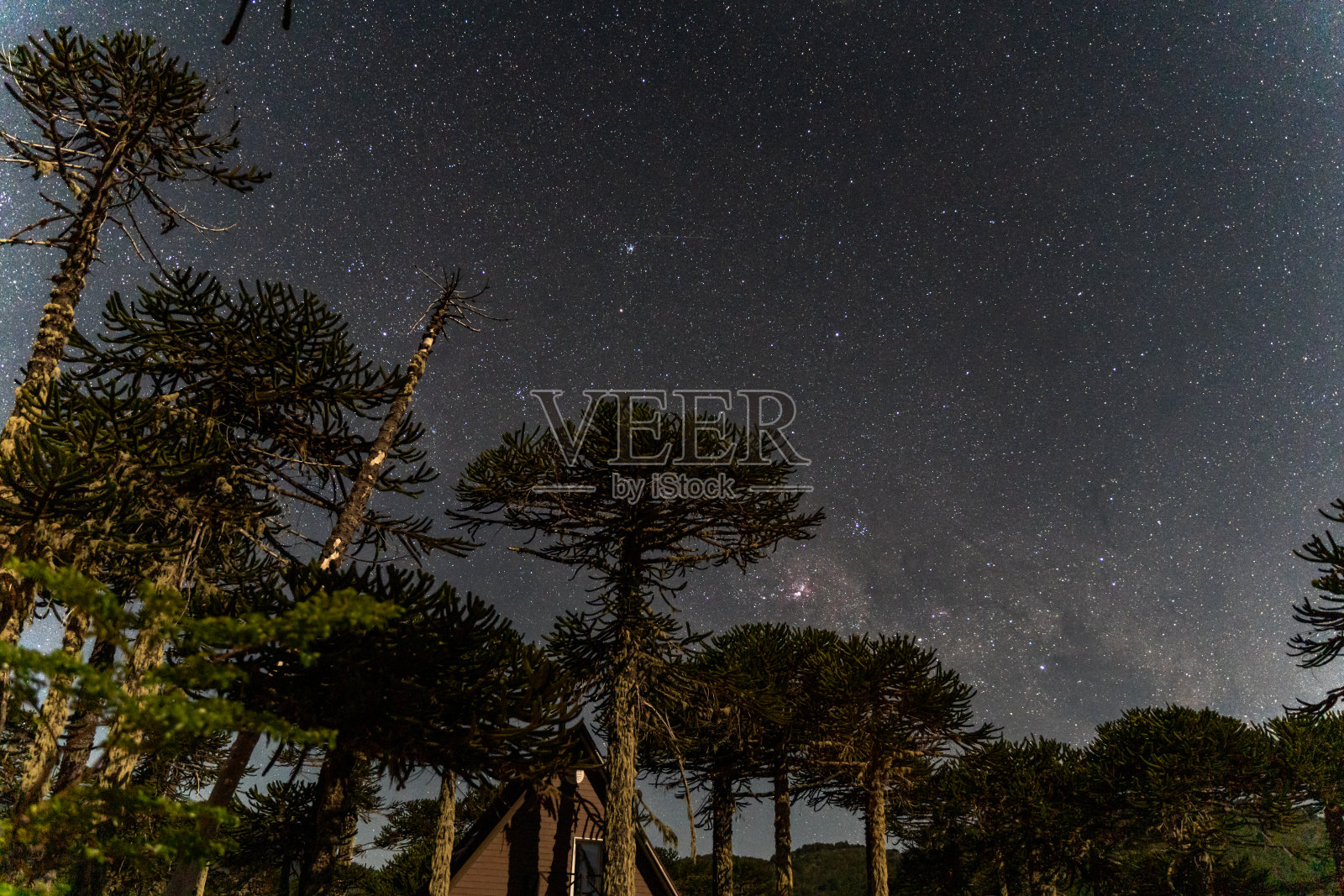 康吉里奥国家公园的星星照片摄影图片