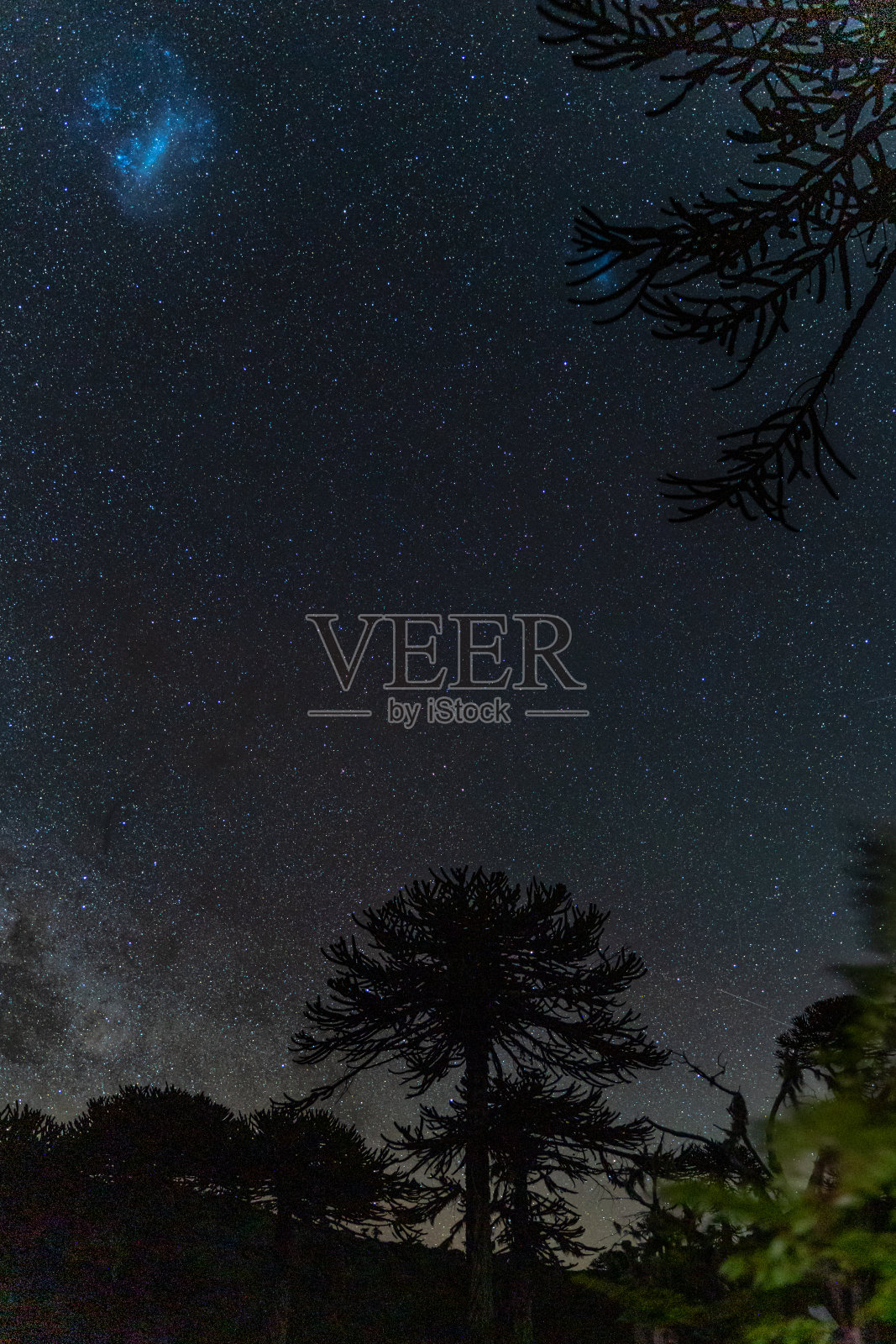 康吉里奥国家公园的星星照片摄影图片