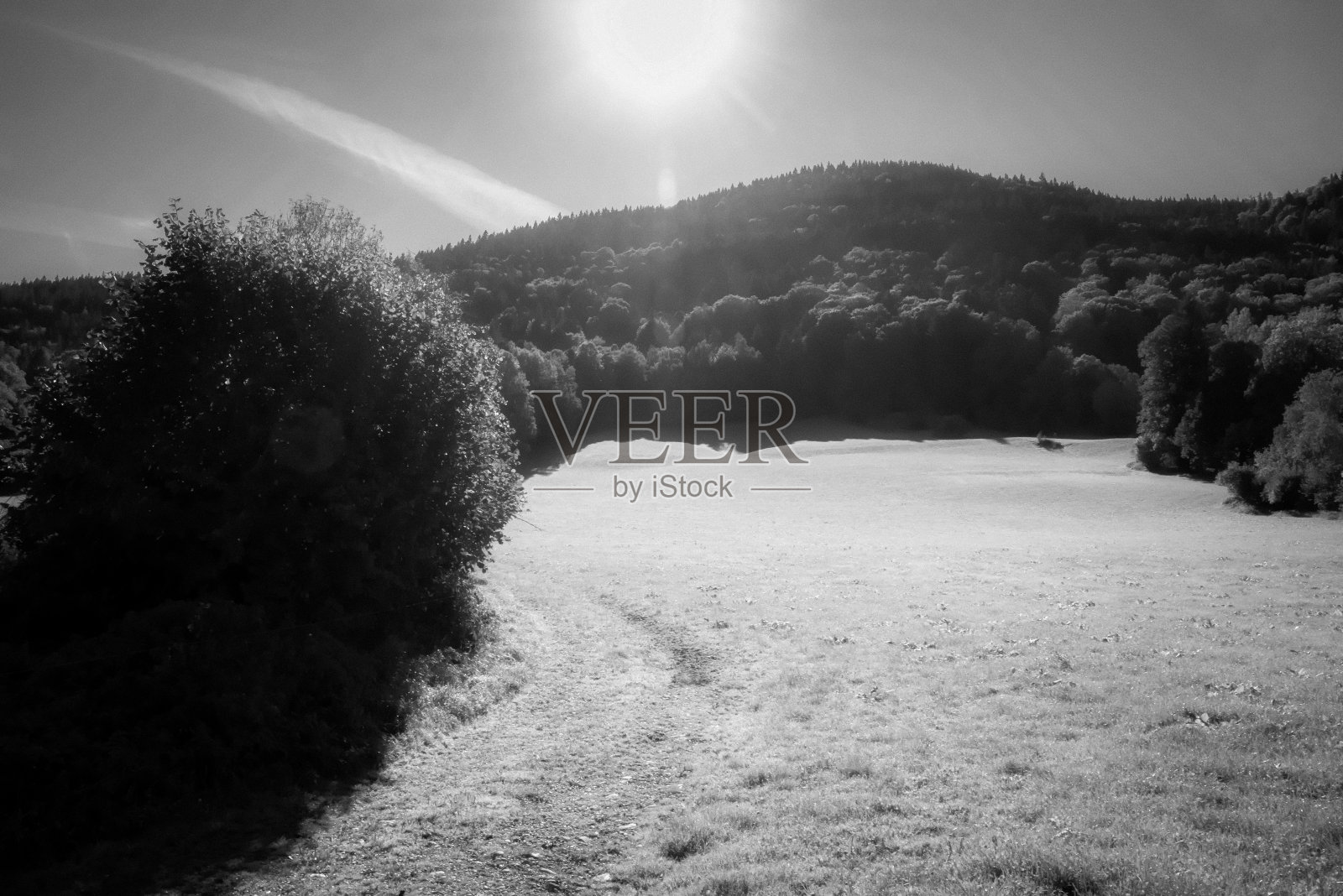 树木茂盛的山和草地在强烈的阳光下的黑白红外照片摄影图片