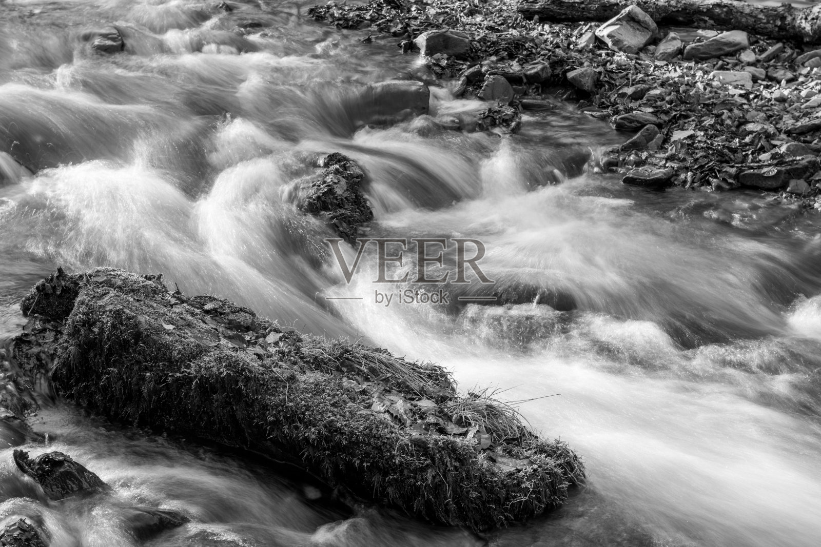 萨默塞特郡的霍纳森林照片摄影图片