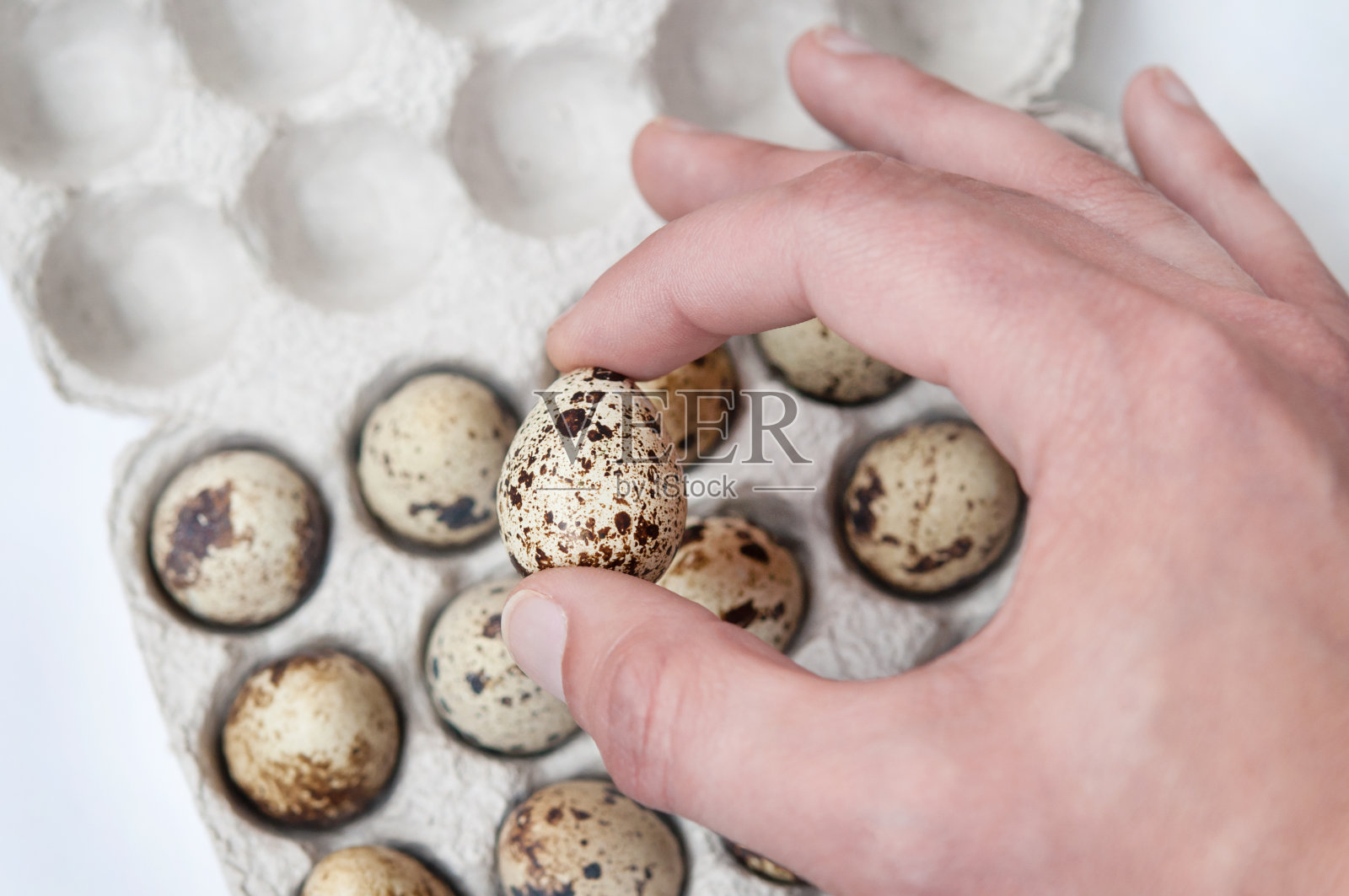 鹌鹑蛋。照片摄影图片