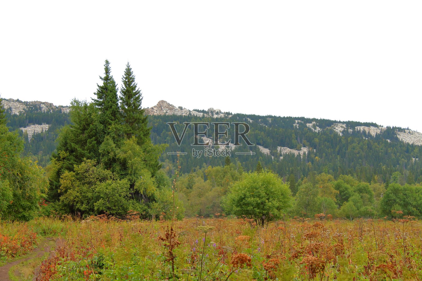 Zyuratkul山脊。背景。景观。照片摄影图片