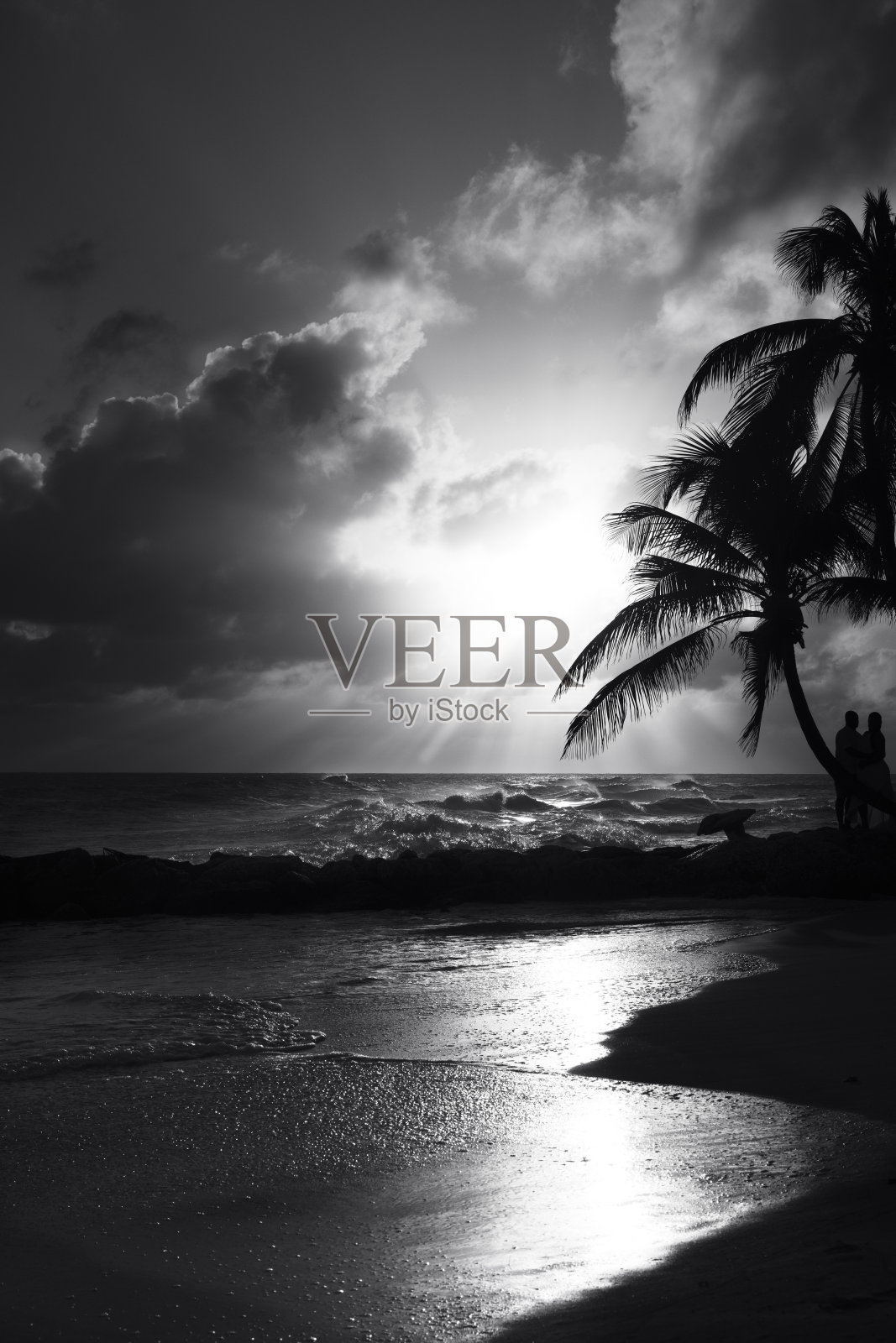 巴巴多斯的麦克斯韦尔海滩上的黑白日落。照片摄影图片