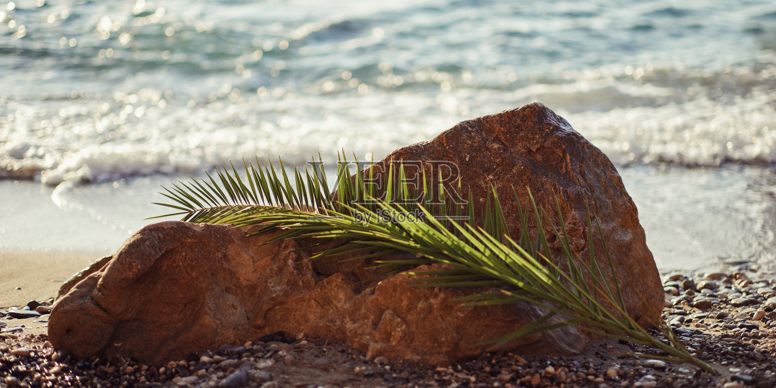 石滩与棕榈叶度假背景照片摄影图片