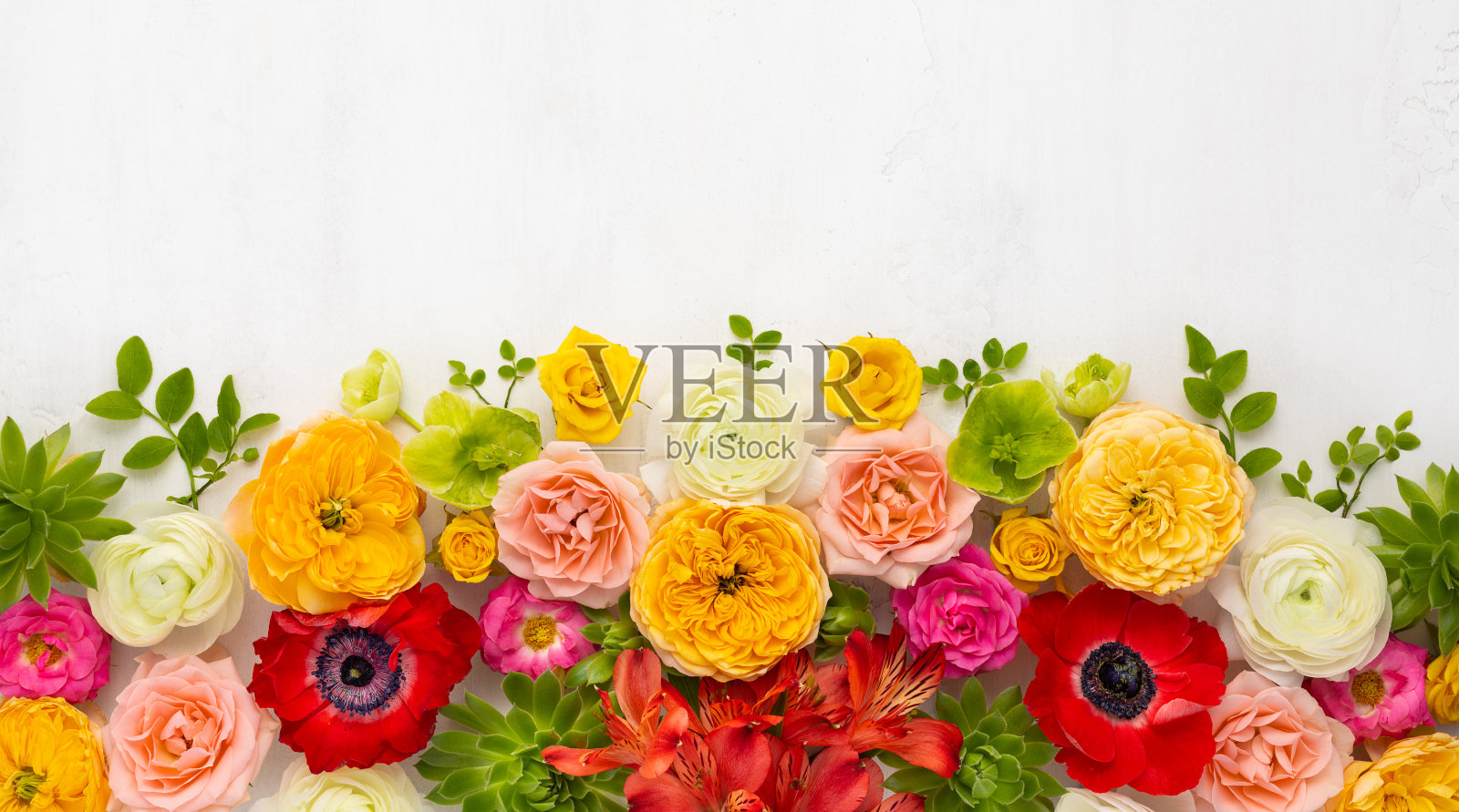 美丽的花朵组成。安排海葵，玫瑰，毛茛属植物，热带花，多汁和叶片在光背景。照片摄影图片