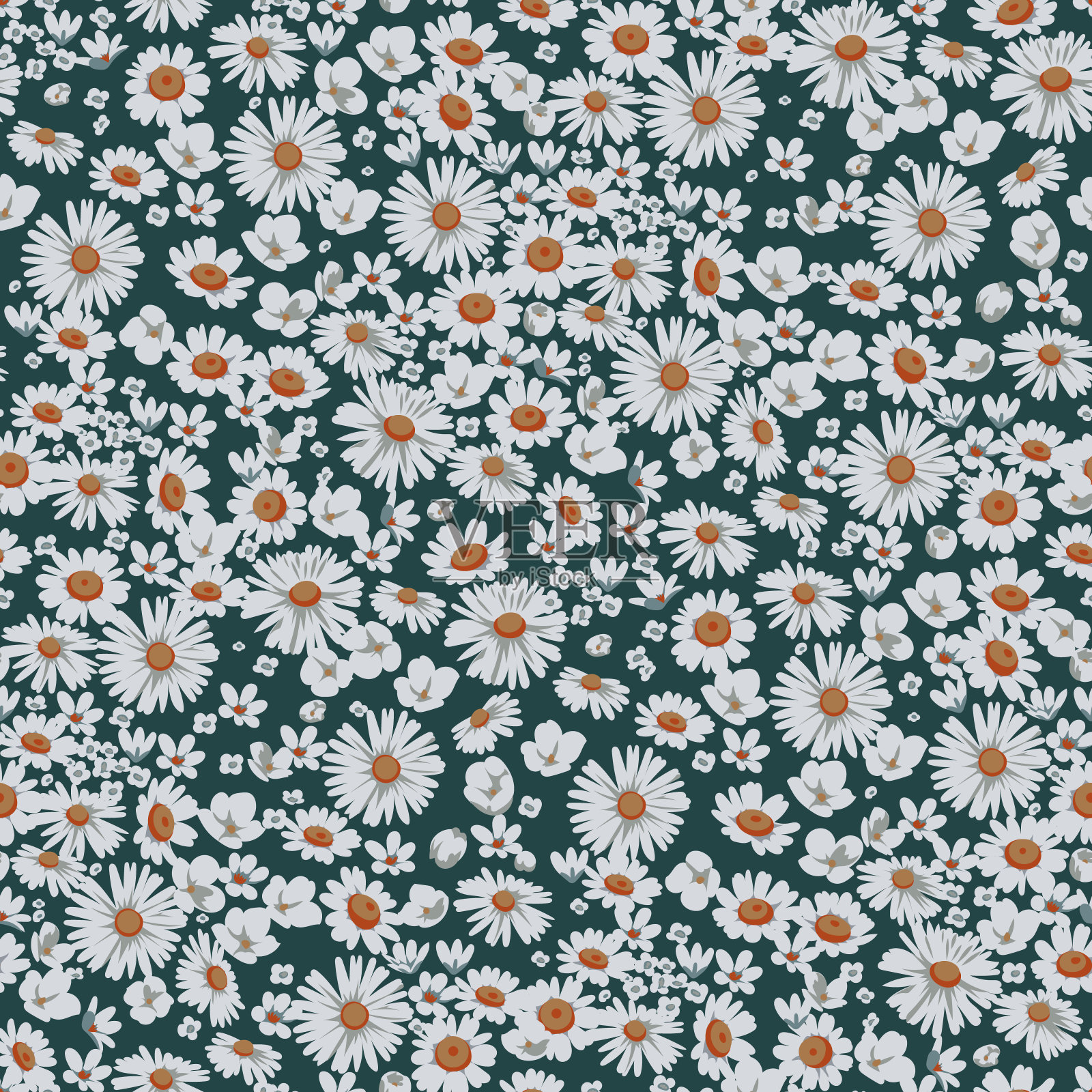 花无缝图案与雏菊草甸插画图片素材