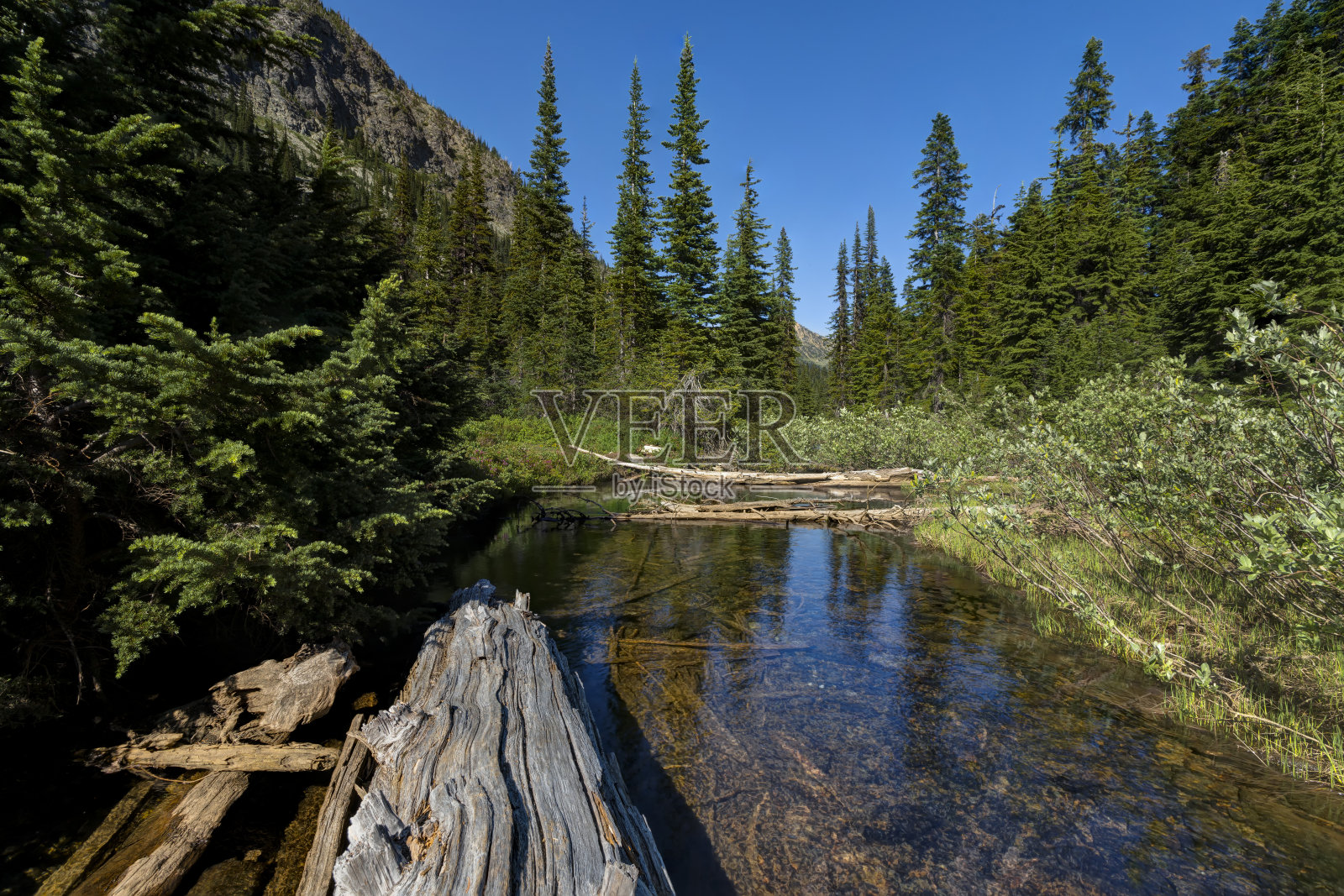 美国华盛顿州，北喀斯喀特国家公园，雨隘隘口，安湖的小溪照片摄影图片