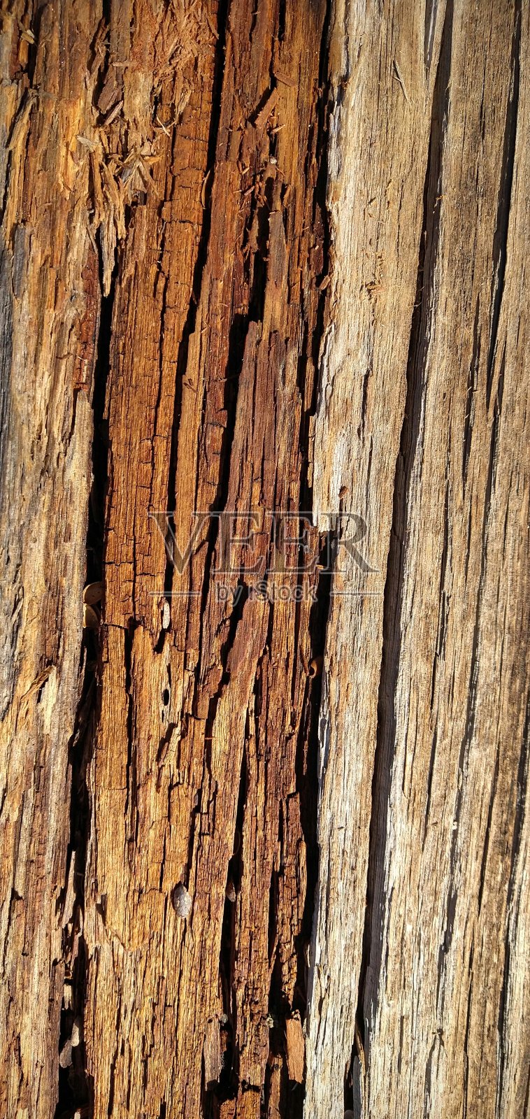 木照片摄影图片