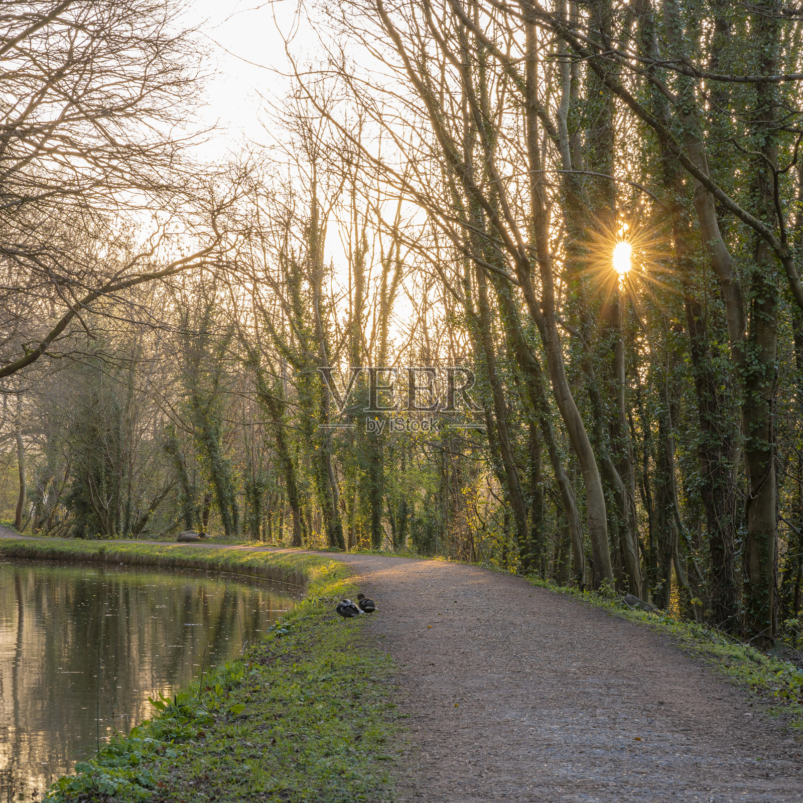 蒙茅斯郡和布雷肯运河照片摄影图片