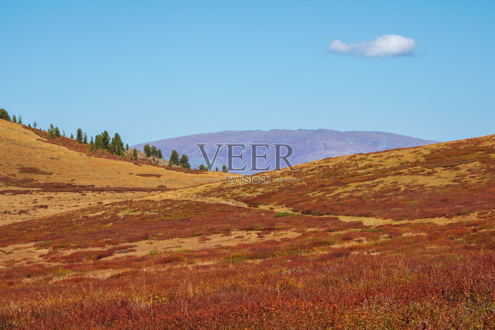 极小的山景，在金色的阳光下的山坡在秋天的时间以柔和的色调。阳光照耀下的橙色山腰的对角线。照片摄影图片