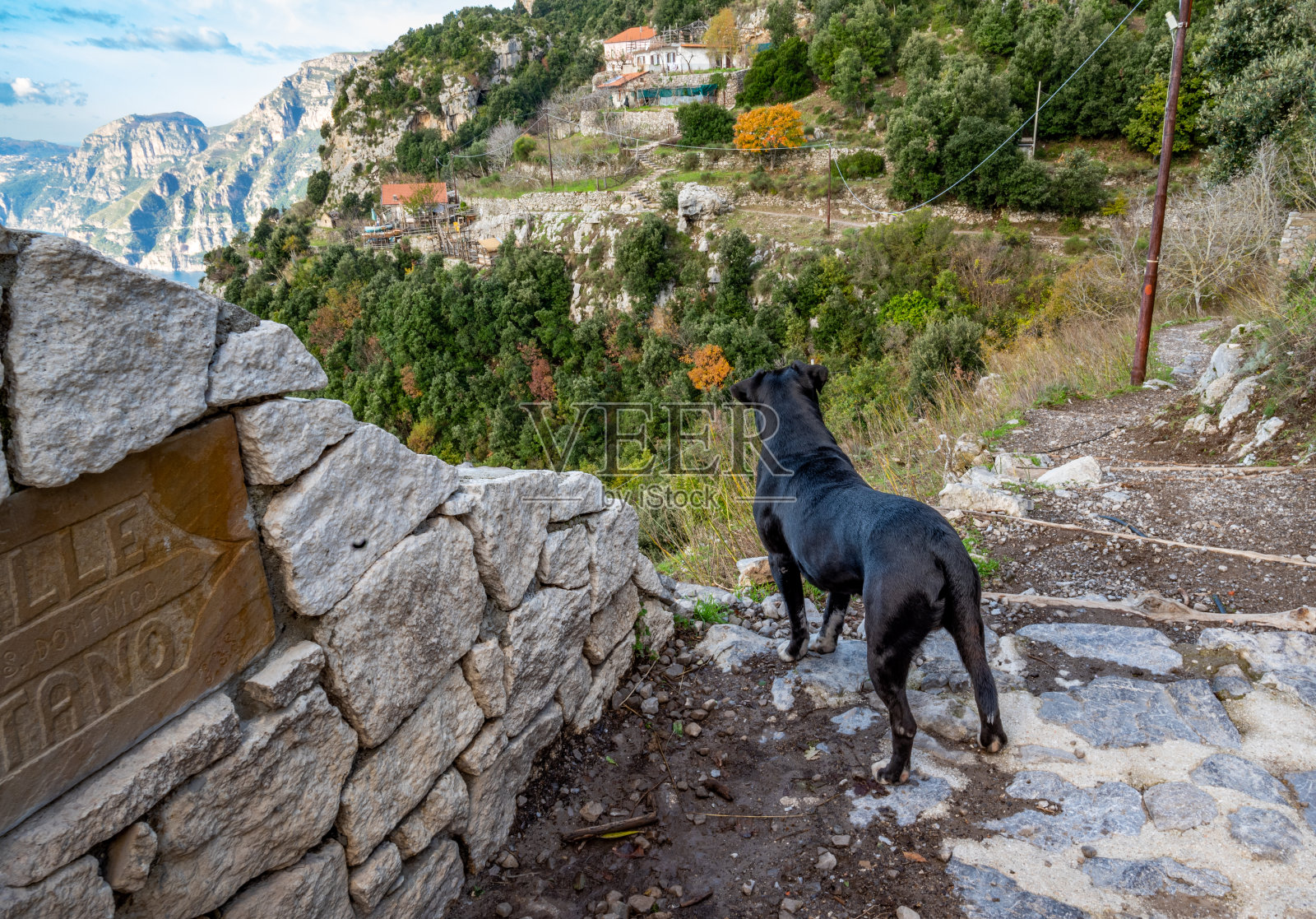 黑狗沿着索伦廷半岛，意大利的阿马尔菲海岸，沿着神的道路向西看照片摄影图片