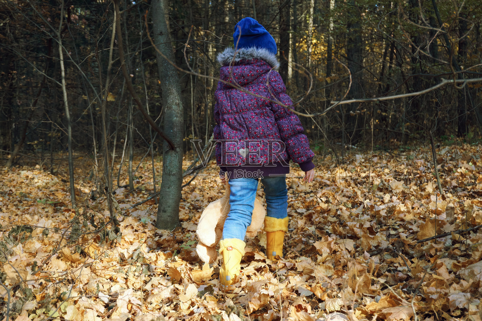 一个穿着秋装的小女孩走过落叶满地的秋林。穿过树林。他手里拿着一只泰迪熊照片摄影图片