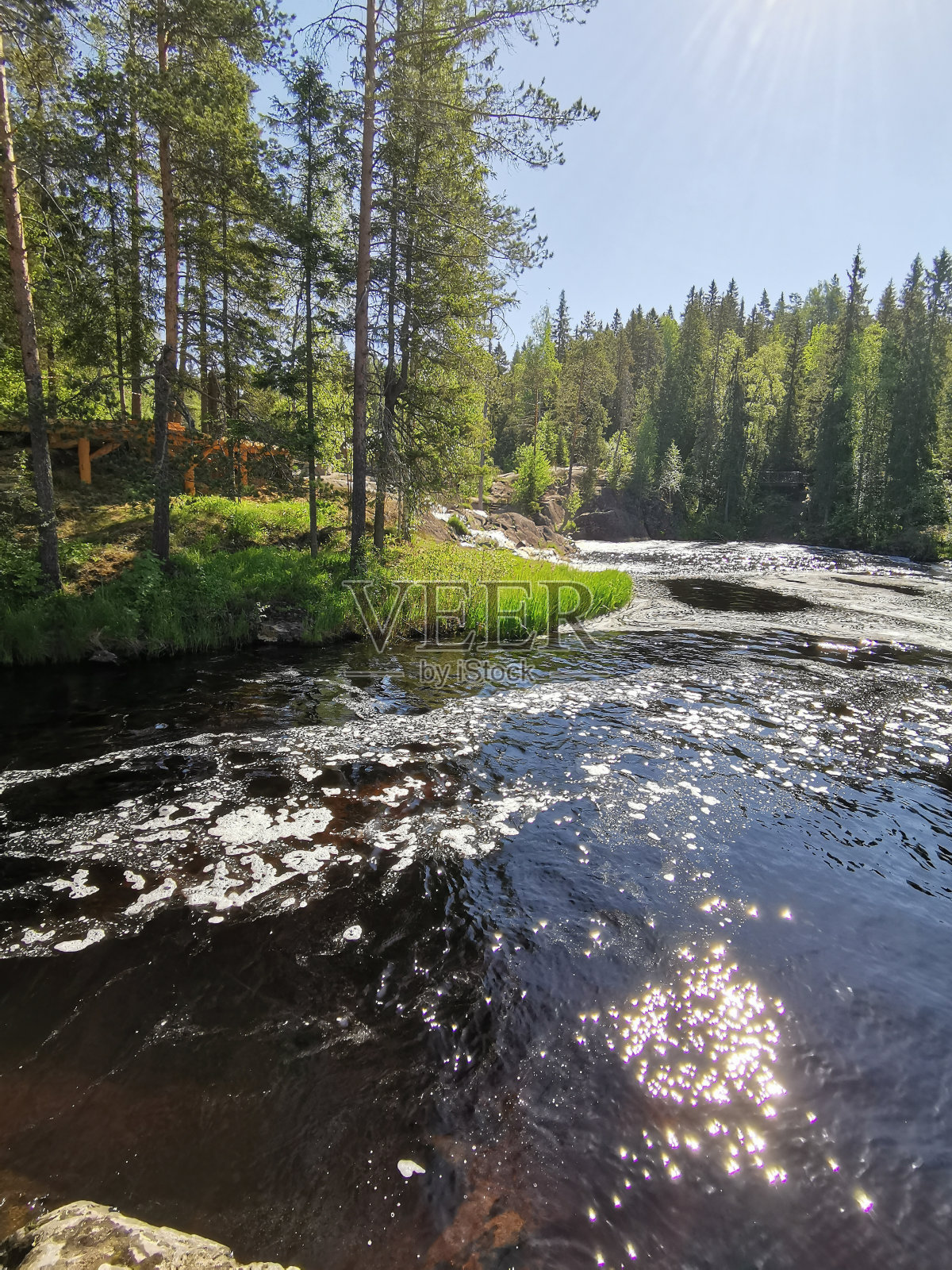 从卡累利亚省Tokhmayoki河的生态步道望去，这是一个阳光明媚的夏日早晨。照片摄影图片