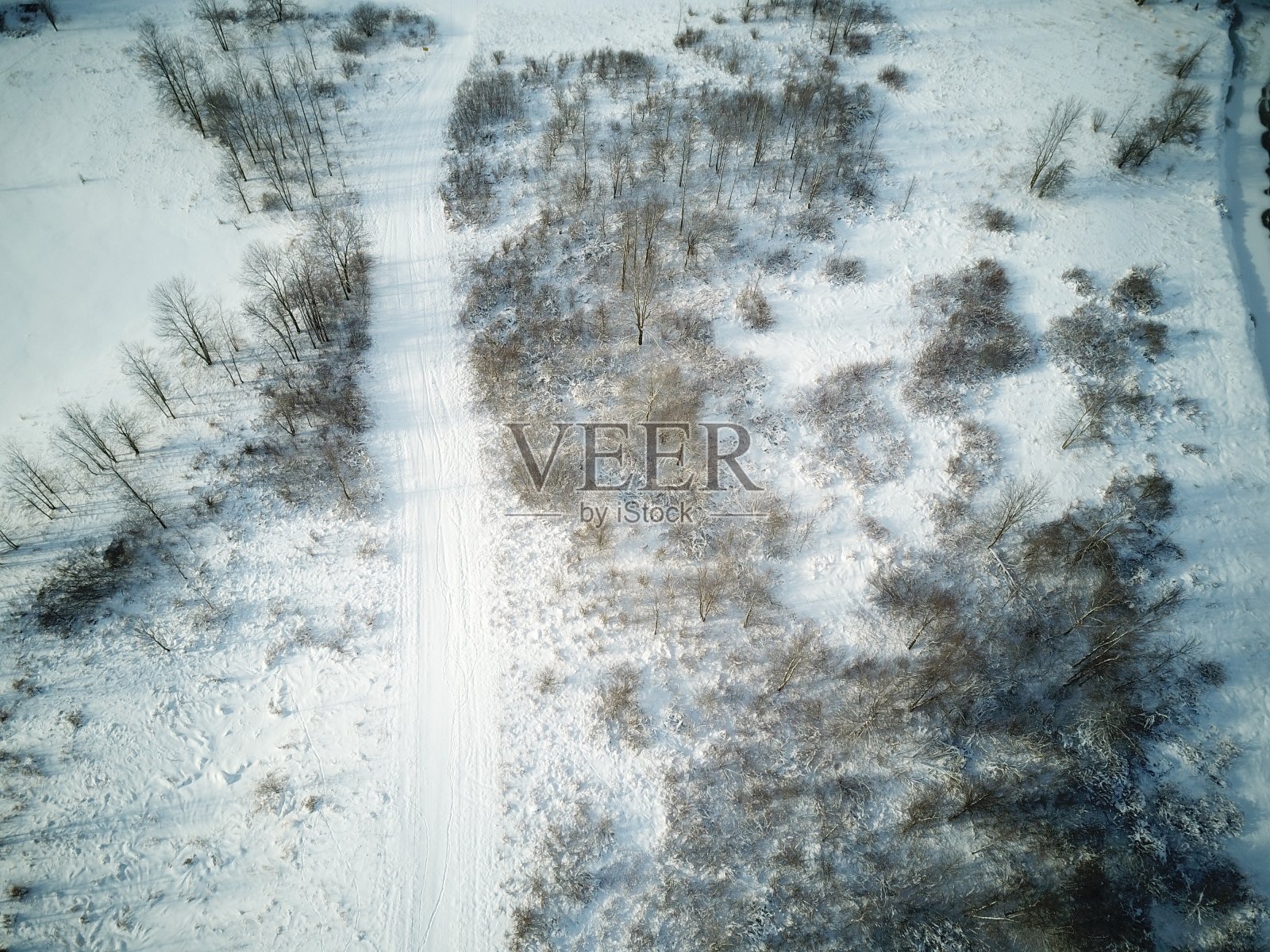 冬季的无人机摄影展示了加拿大的自然和农业土地。1月的南安大略照片摄影图片