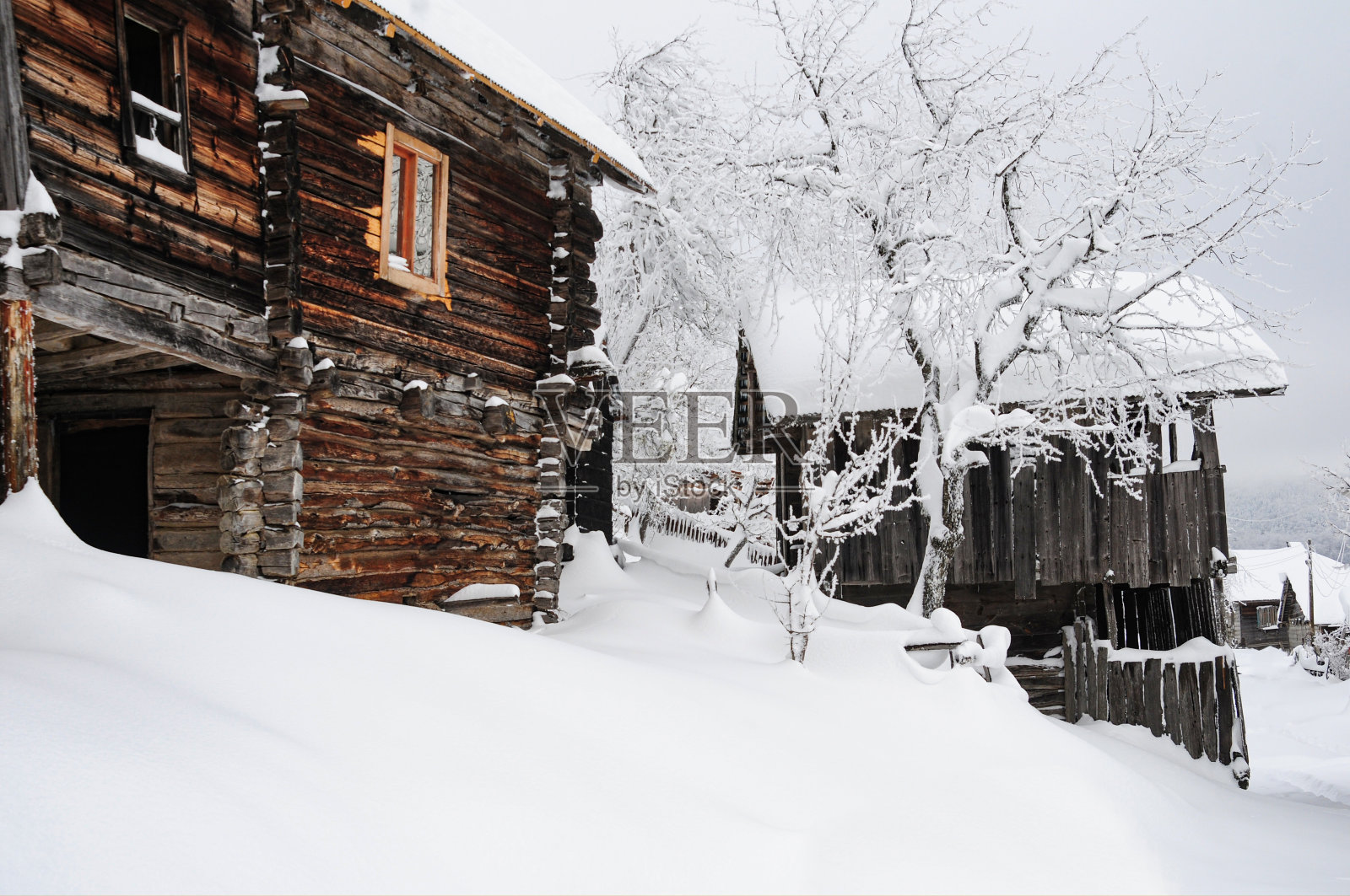 下大雪的森林村庄照片摄影图片