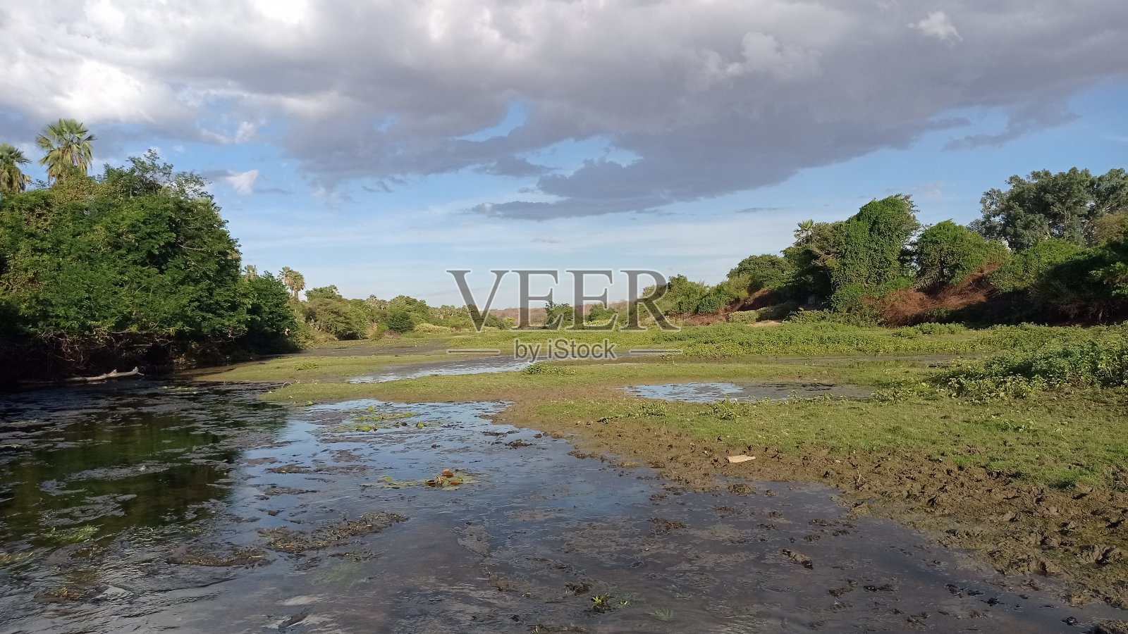 湖和植被在城市内部的RN照片摄影图片