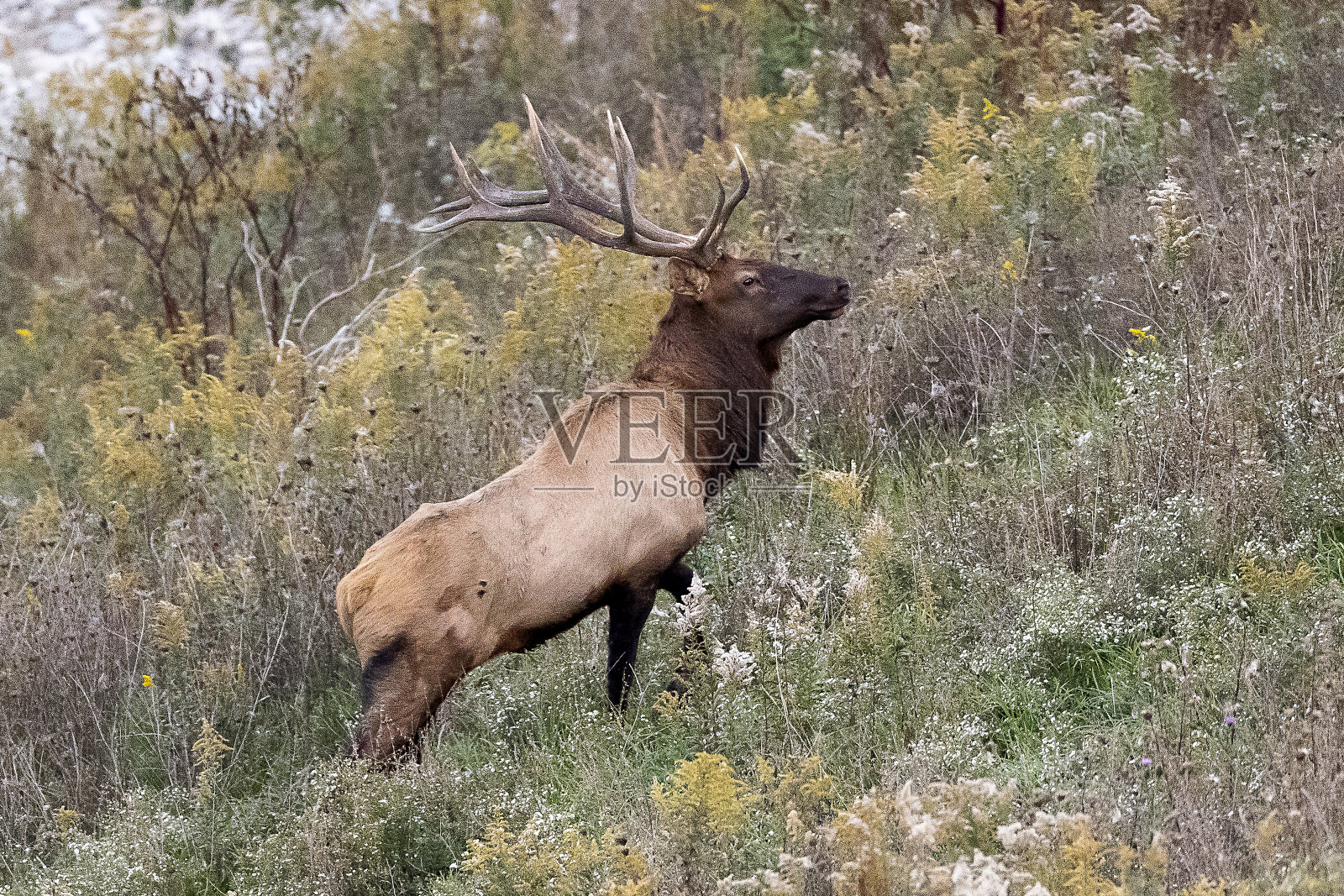 每照片摄影图片