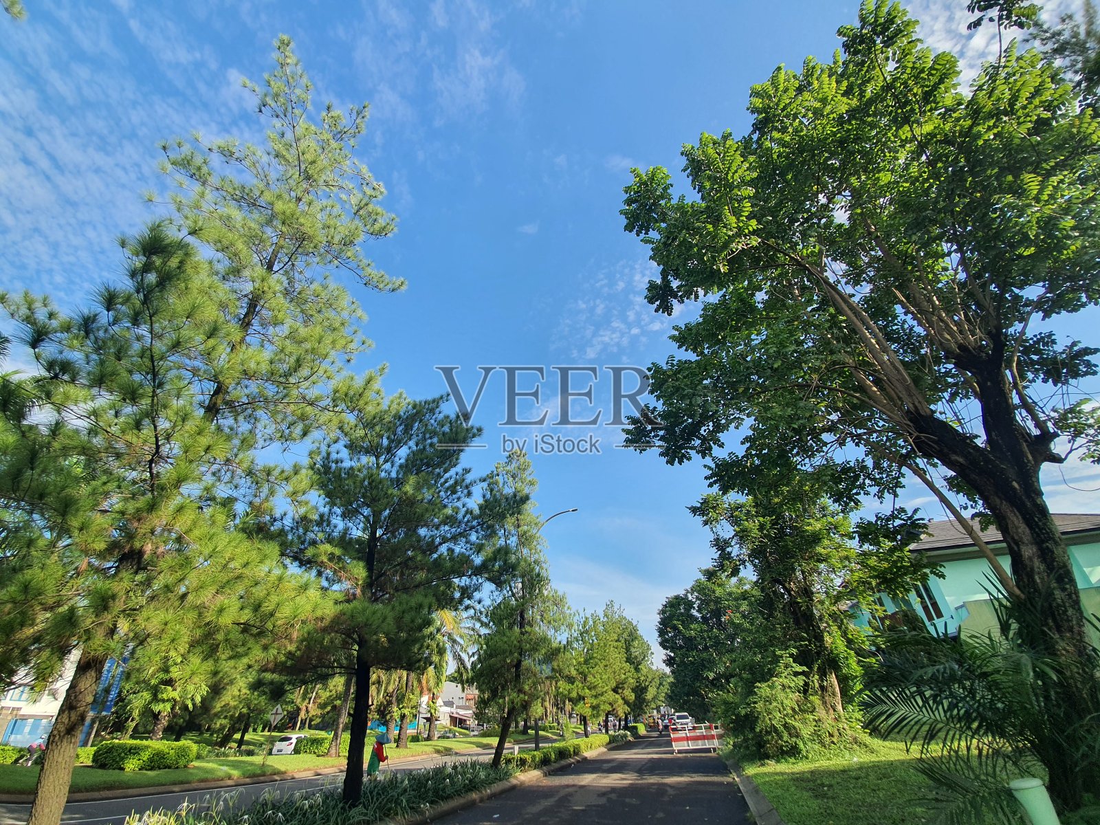 星期天的早上照片摄影图片