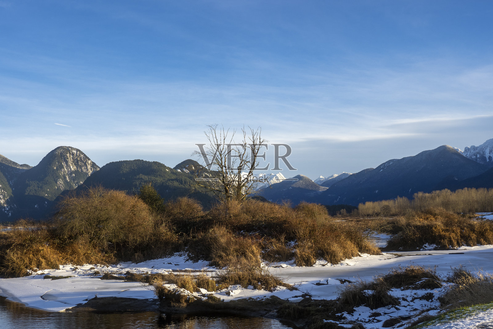 皮特波尔德生态保护区照片摄影图片