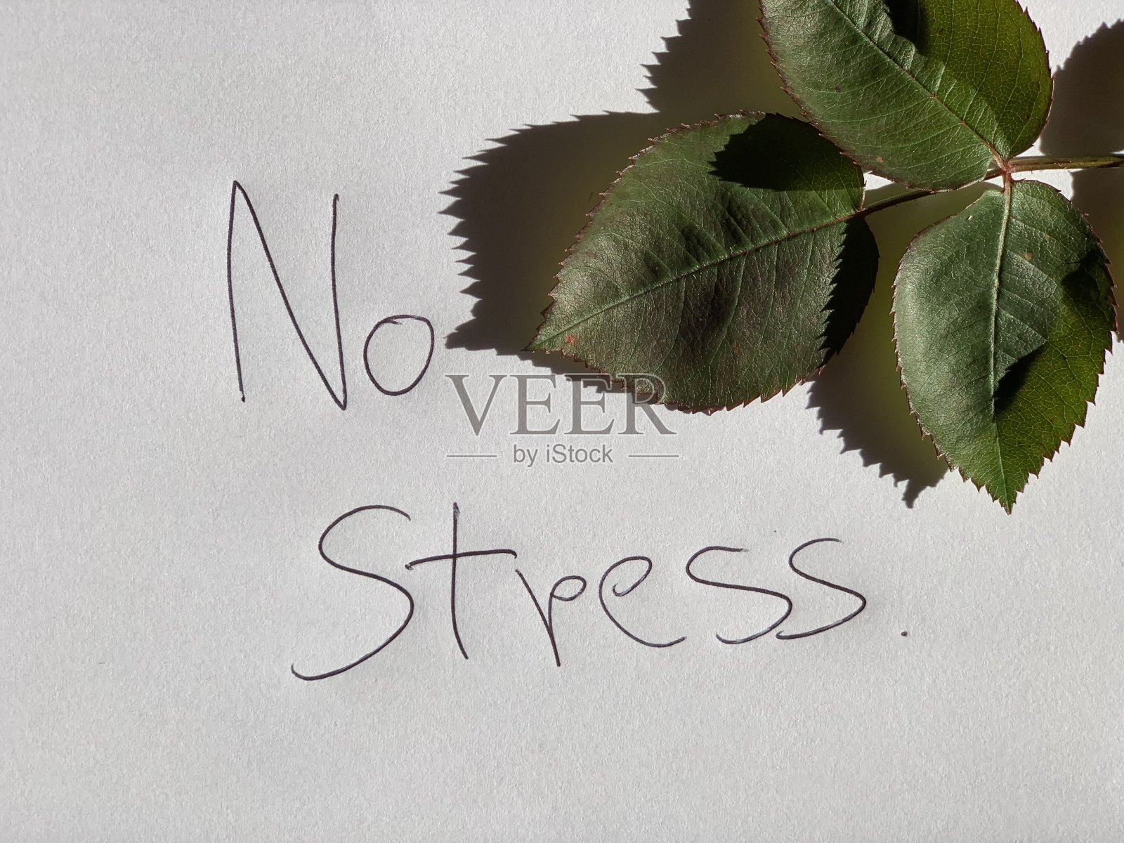 没有压力照片摄影图片