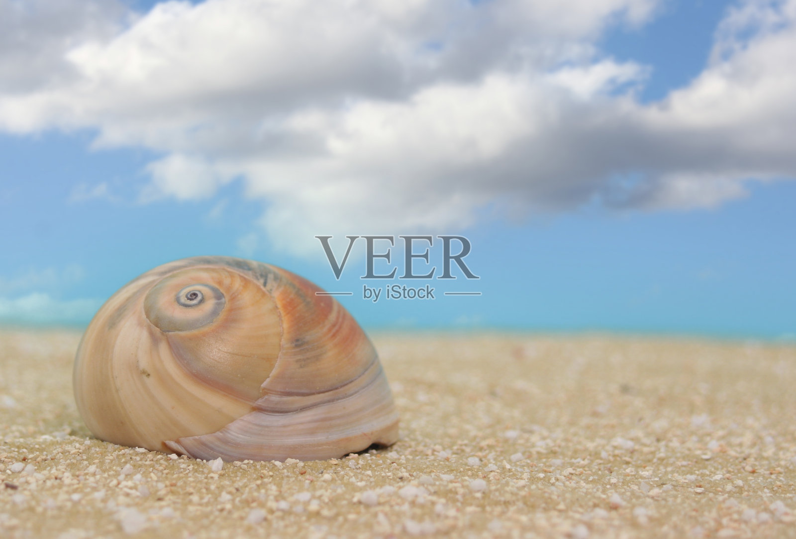 沙滩上的海贝与蓝天背景照片摄影图片