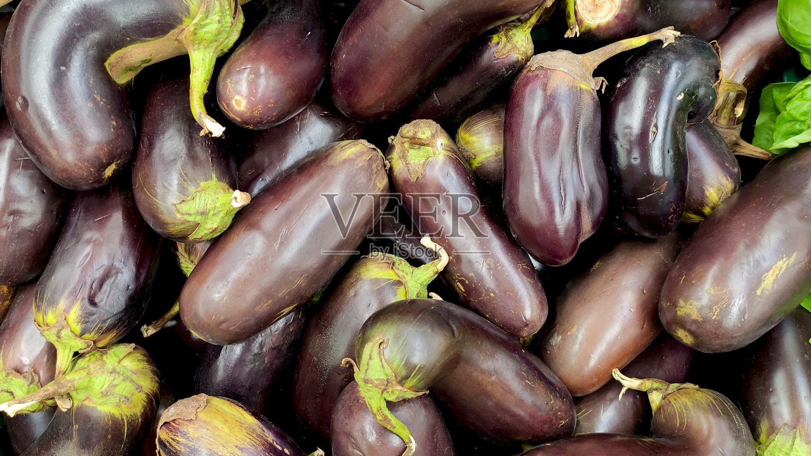 俯视图茄子，茄子收获，茄子特写照片摄影图片