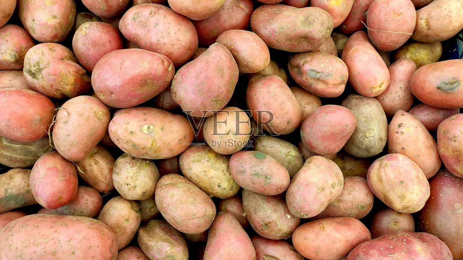 从上面特写的年轻土豆照片摄影图片