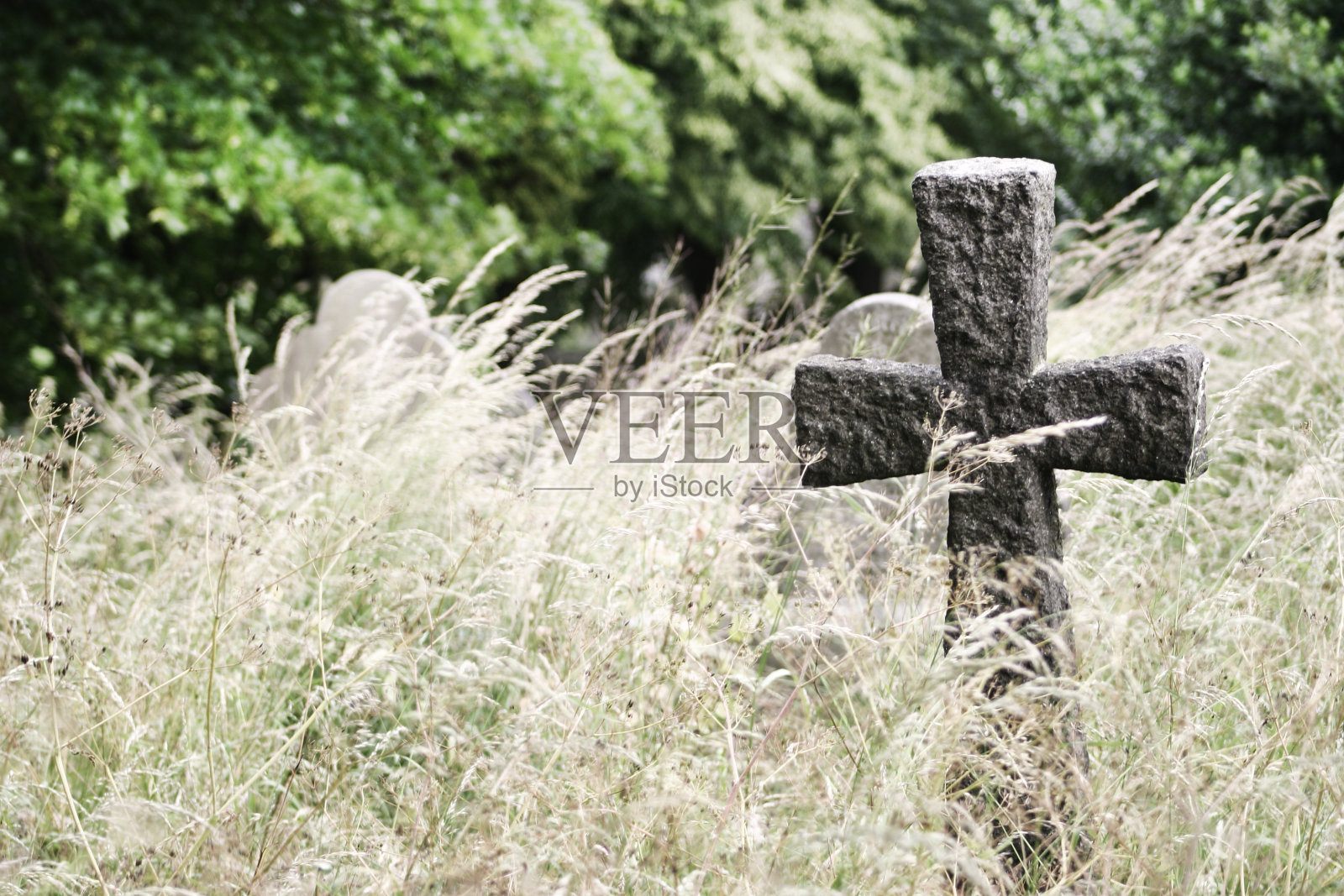 墓园中古老的石碑十字形，高草参差照片摄影图片