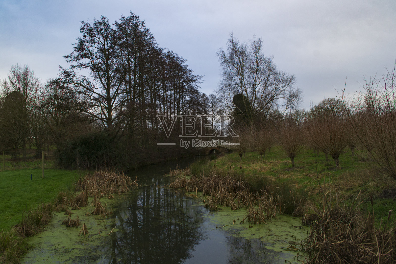 埃塞克斯的冬天照片摄影图片