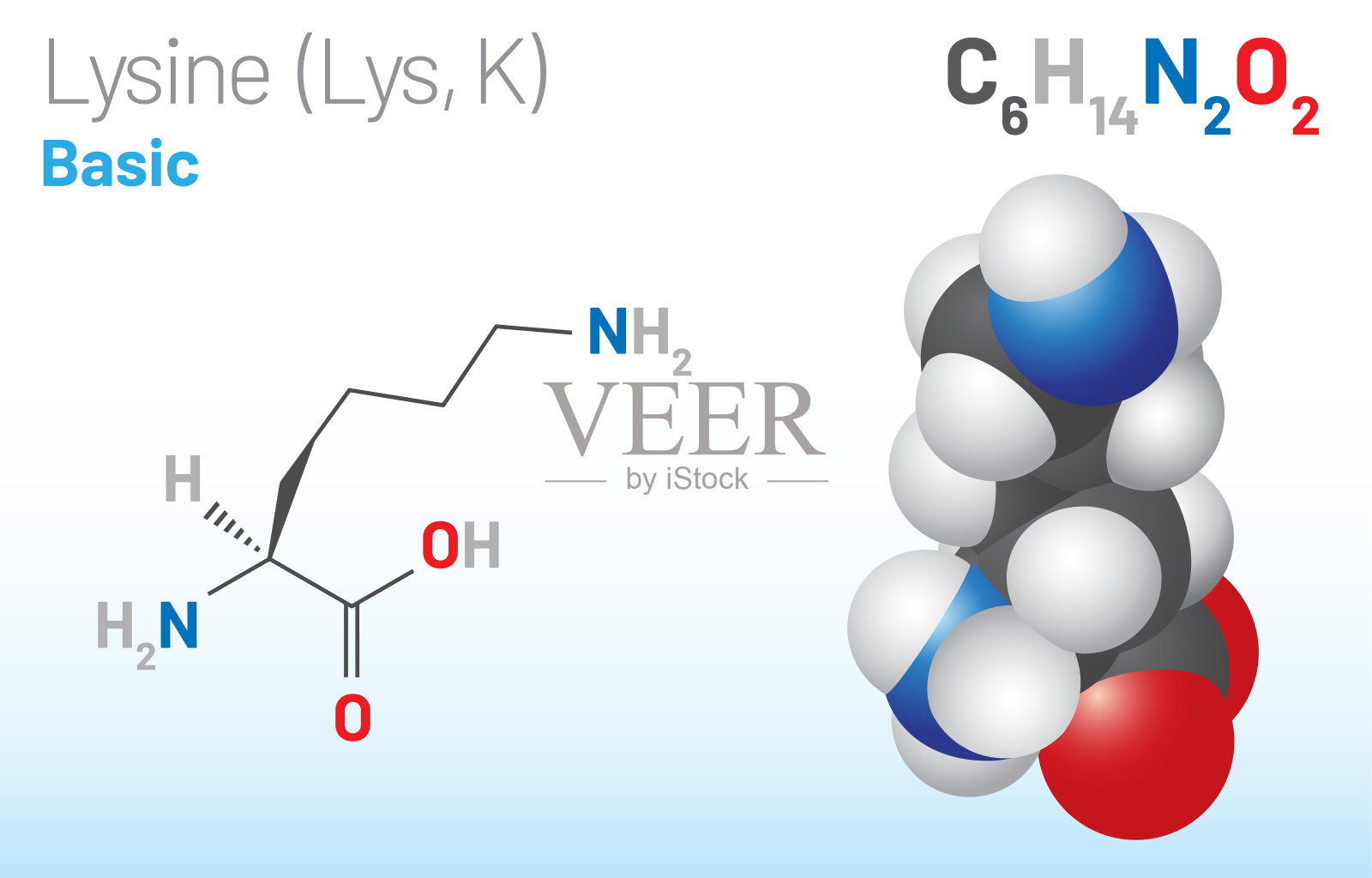 赖氨酸(Lys, K)氨基酸分子。(化学公式C6H14N2O2)插画图片素材