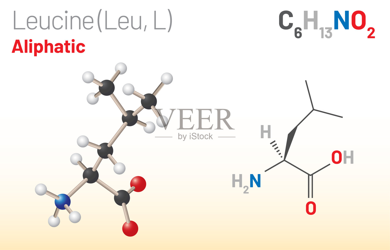 亮氨酸(Leu, L)氨基酸分子。(化学公式C6H13NO2)插画图片素材