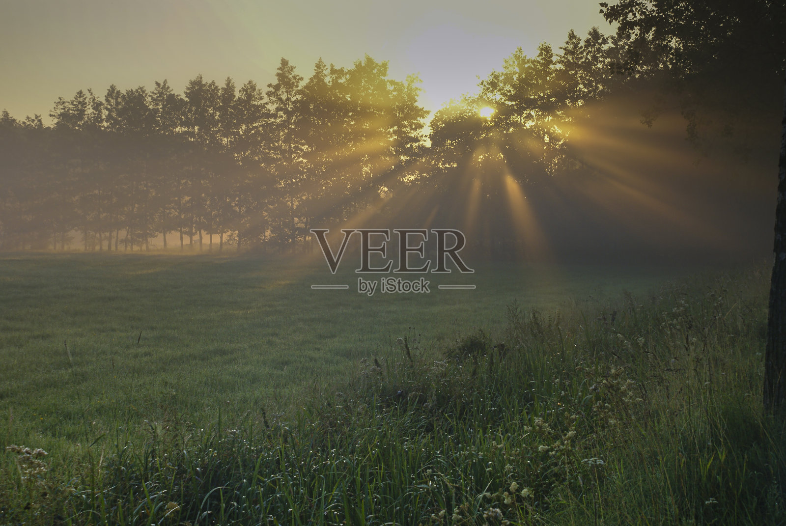 清晨的日出伴随着美丽的太阳耀斑照片摄影图片