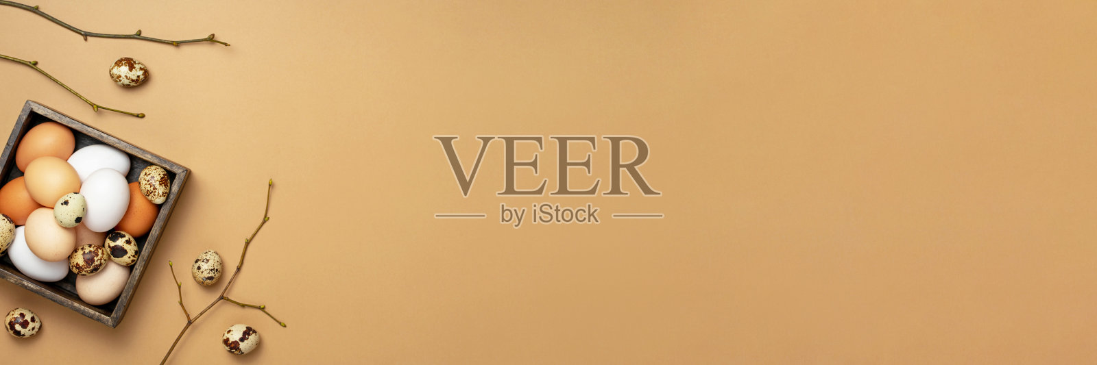 复活节假期横幅。自然白色和棕色鸡尾鹌鹑蛋在木制盒与时尚米色背景的树枝。环保的概念。中性的颜色。俯视图，复制空间，平铺照片摄影图片