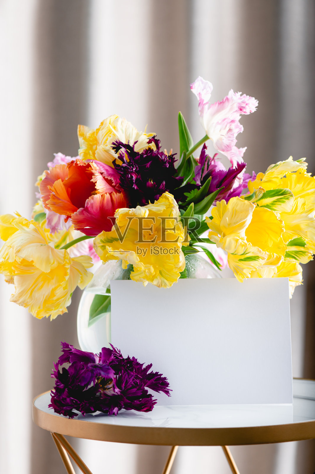 一束鹦鹉式郁金香照片摄影图片