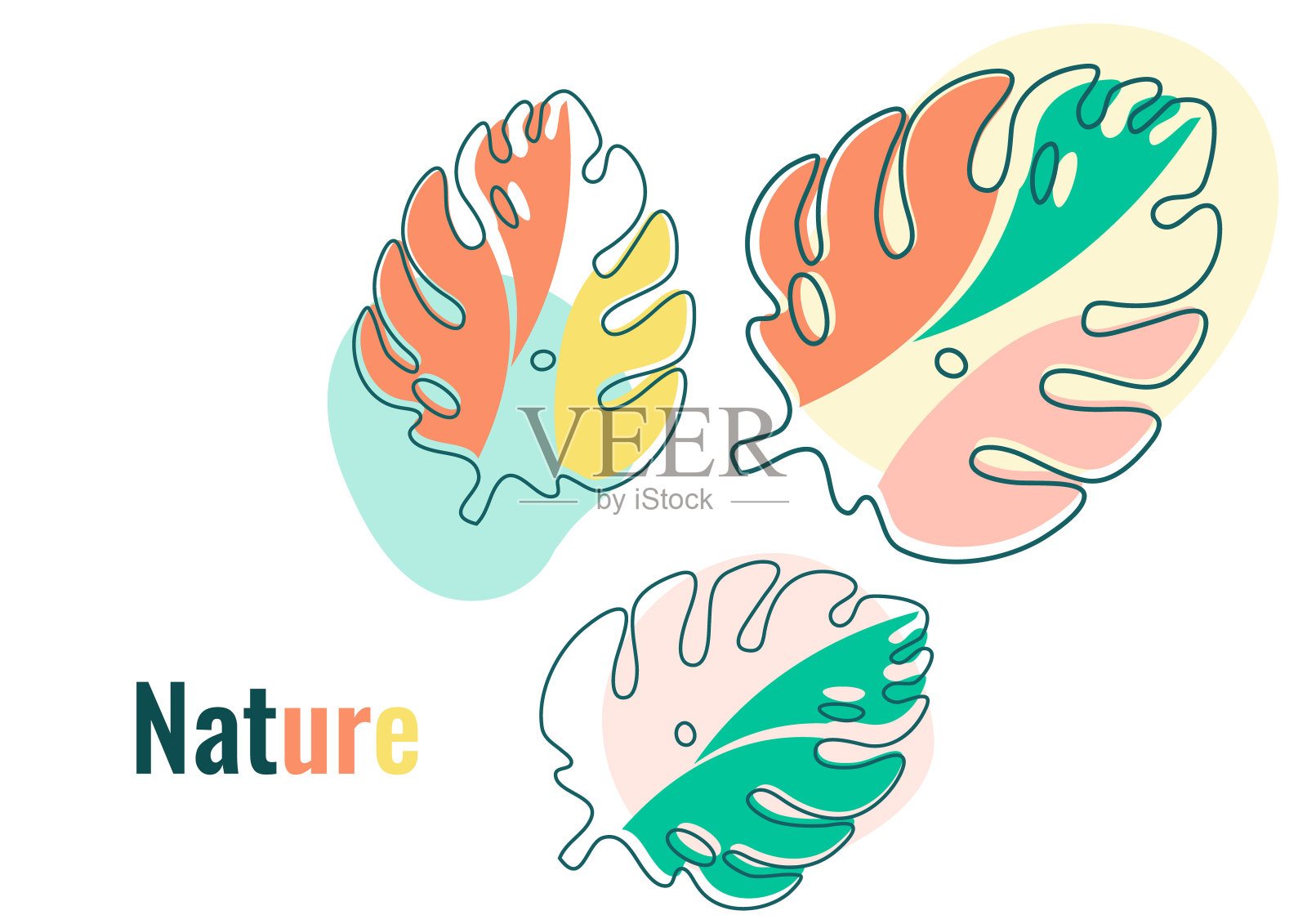 Monstera叶子在现代剪纸风格。多色部分。可用于广告和促销。向量插画图片素材