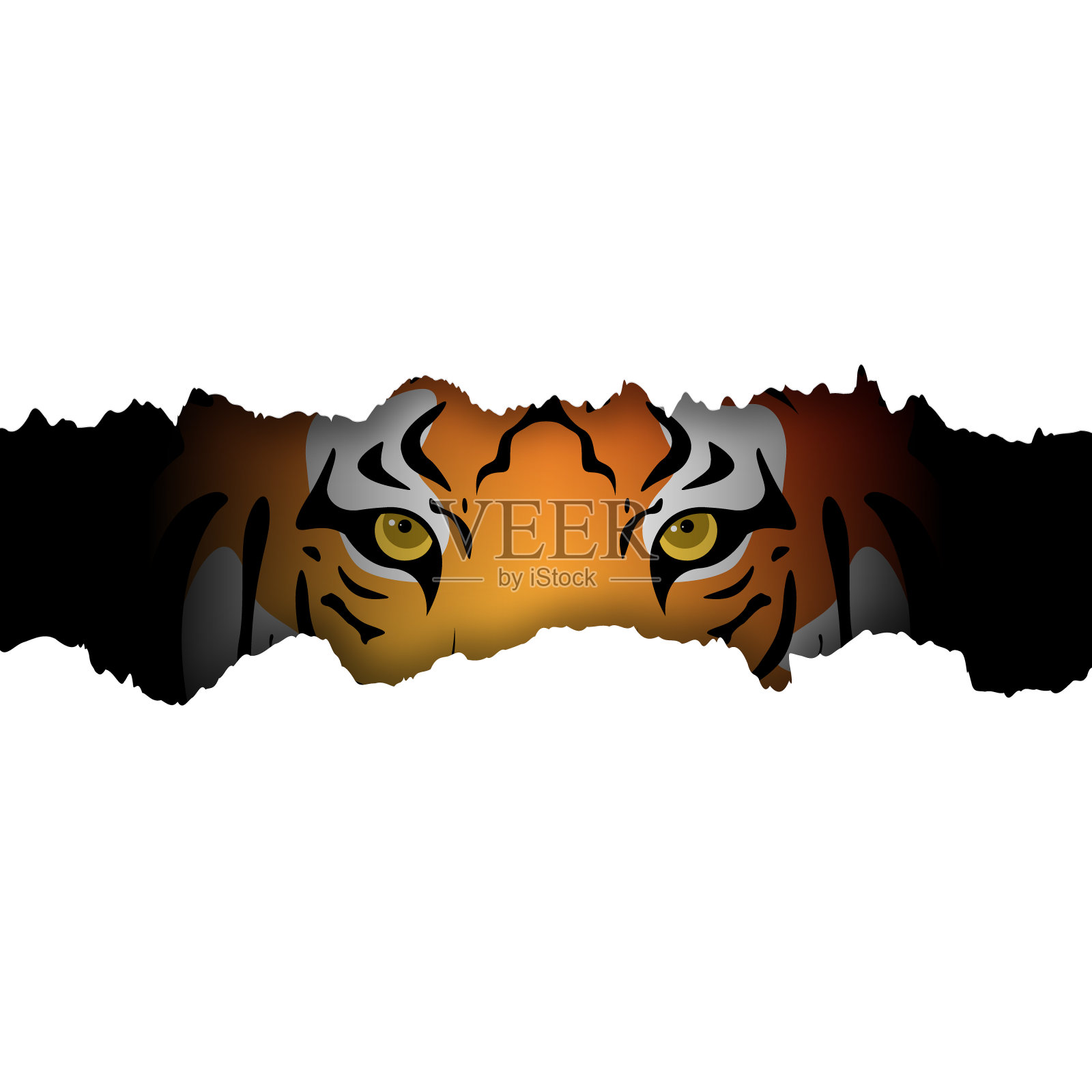 老虎从撕破的白纸上的洞里往外看。象征2022年。老虎的眼睛。印有野生动物的贺卡。股票矢量插图。插画图片素材