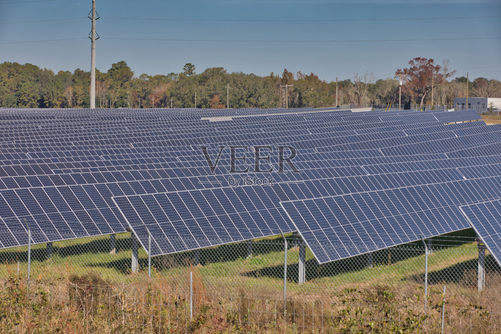 佛罗里达太阳能电池板领域照片摄影图片