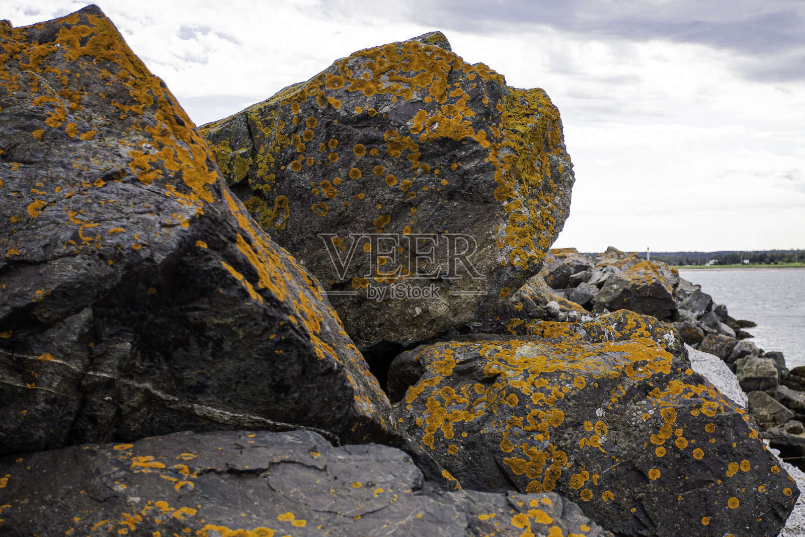 覆盖着地衣的大岩石照片摄影图片