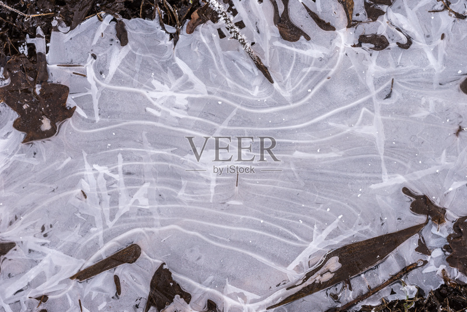 由冰形成的水坑上的抽象图案。冰冻水背景纹理，俯视图照片摄影图片