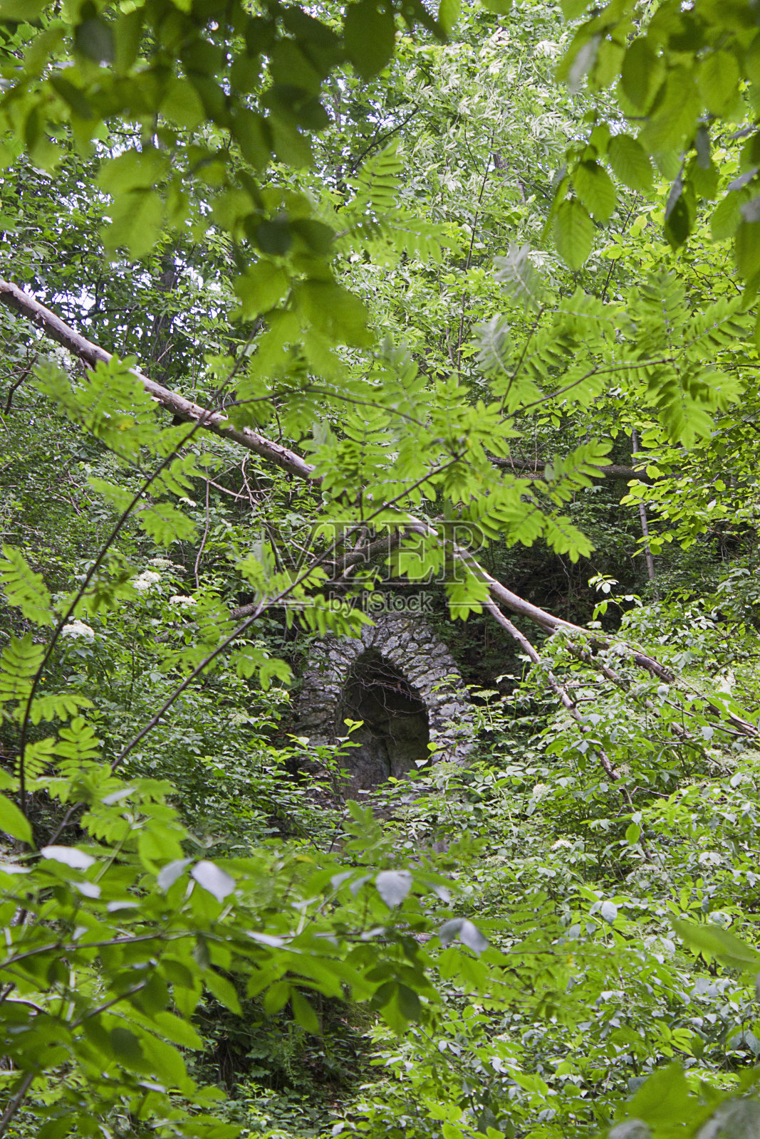 森林里的古老遗迹照片摄影图片
