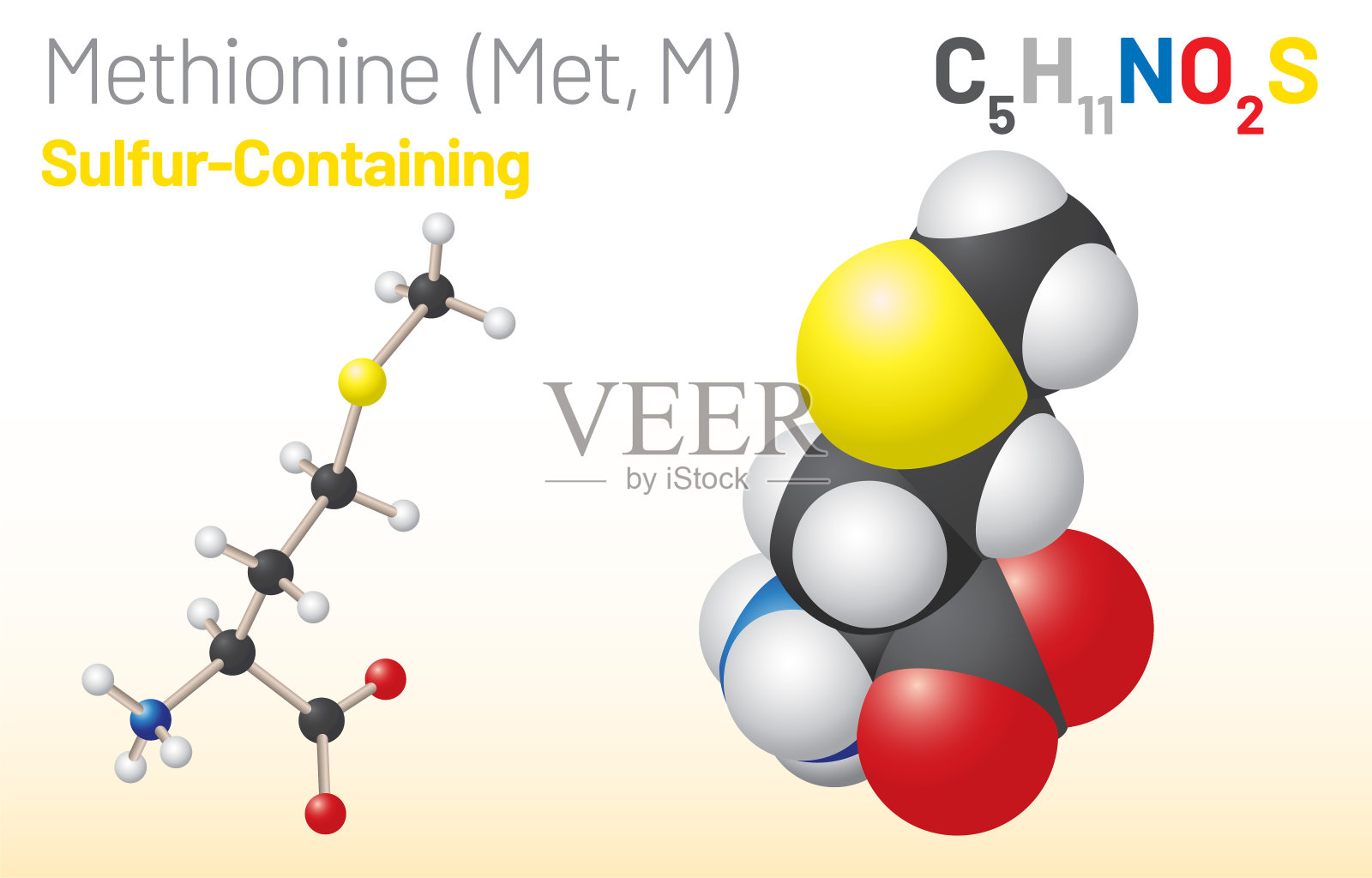 蛋氨酸(Met, M)氨基酸分子。(化学公式C5H11NO2S)插画图片素材
