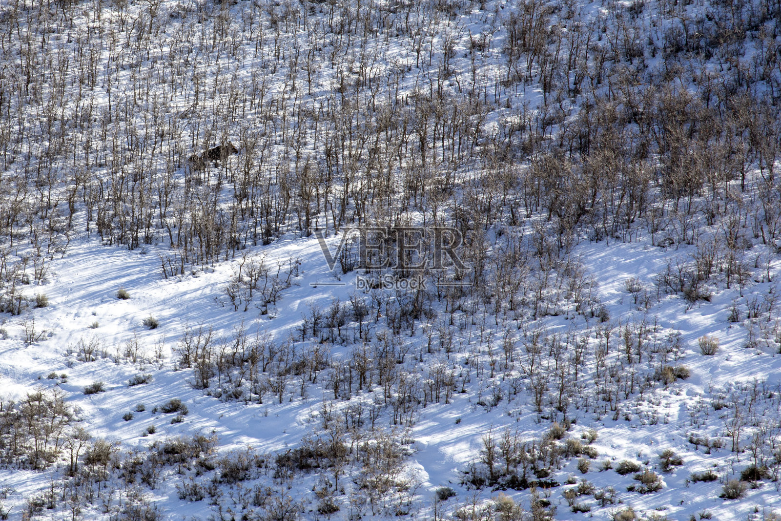 下雪山照片摄影图片