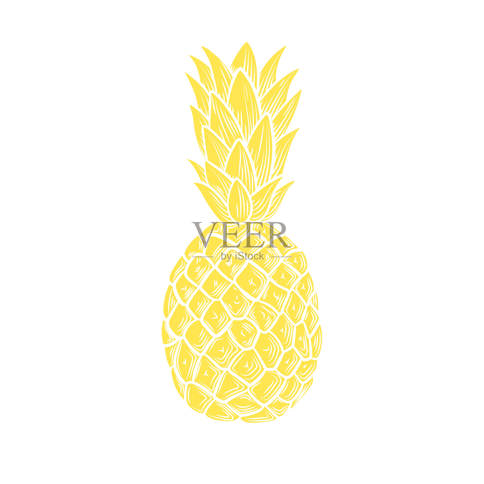 矢量黄色菠萝孤立在白色背景，白色。插画图片素材