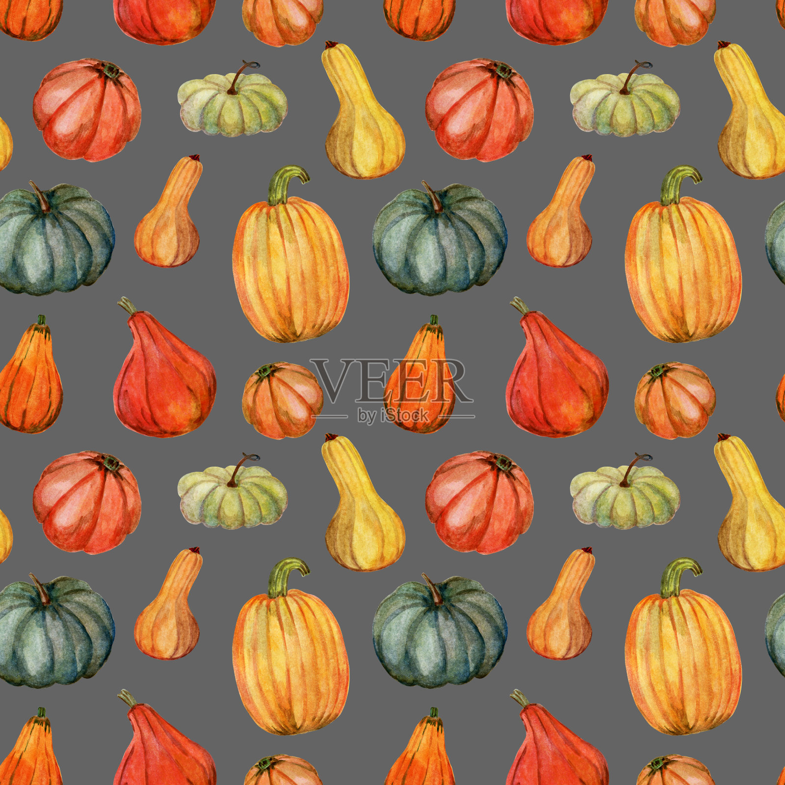 熟透的南瓜无缝图案。蔬菜插图是用水彩手绘在灰色背景上。插画图片素材