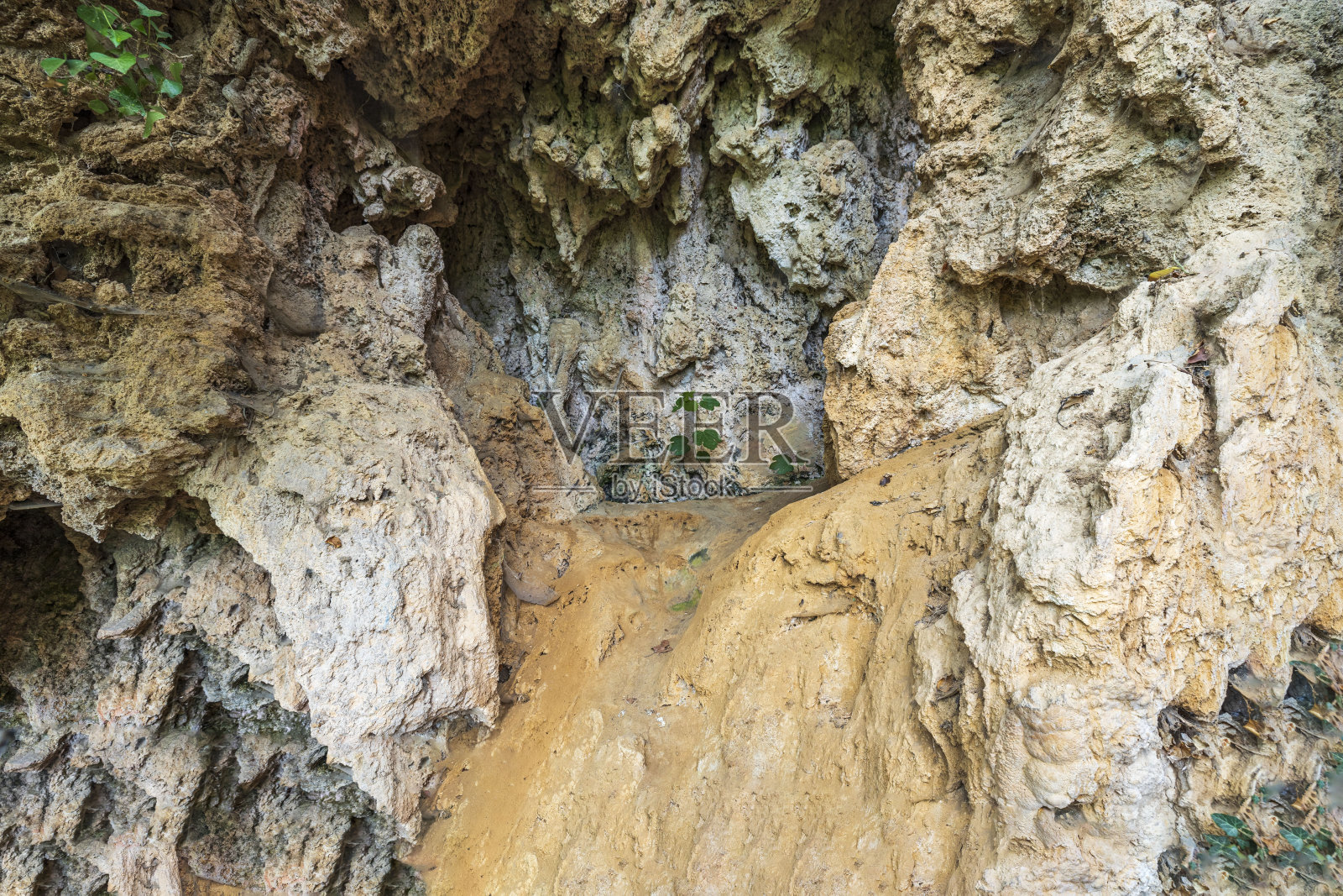 石崖上绿色植物的美丽景色。自然美景的背景。希腊。照片摄影图片