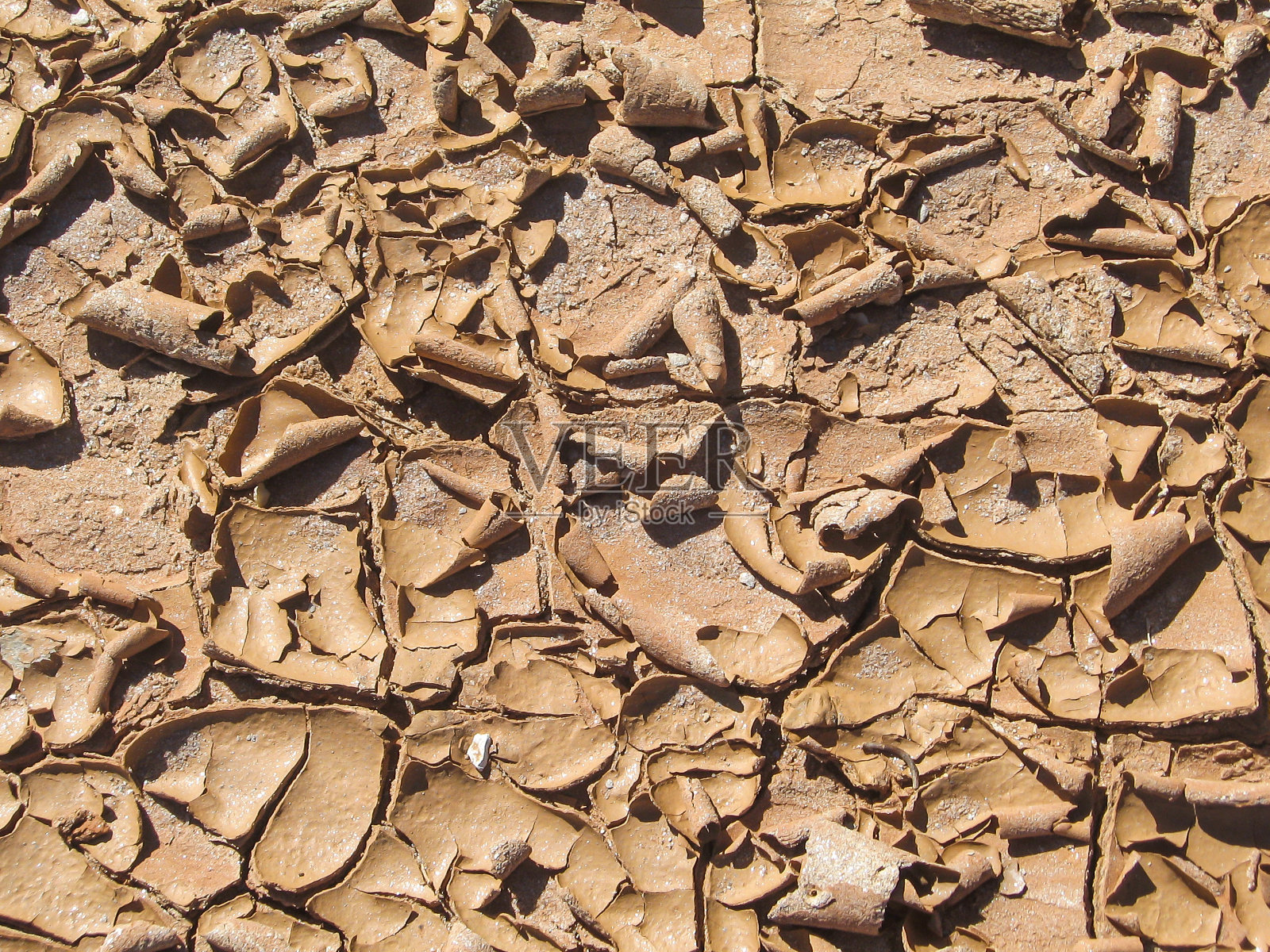 干裂的泥，开始自己蜷缩起来照片摄影图片